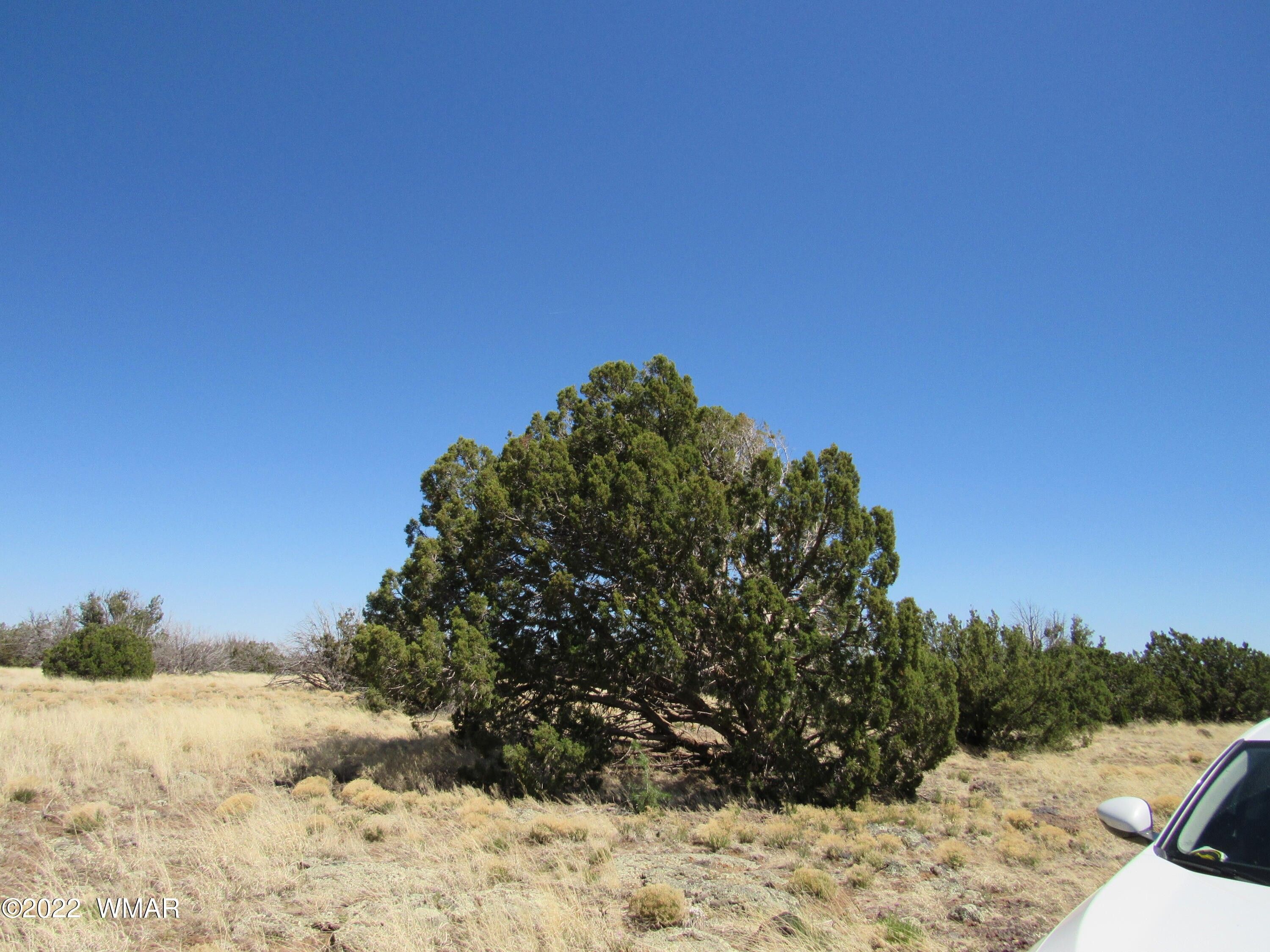 40.39 acres in Apache County, Arizona
