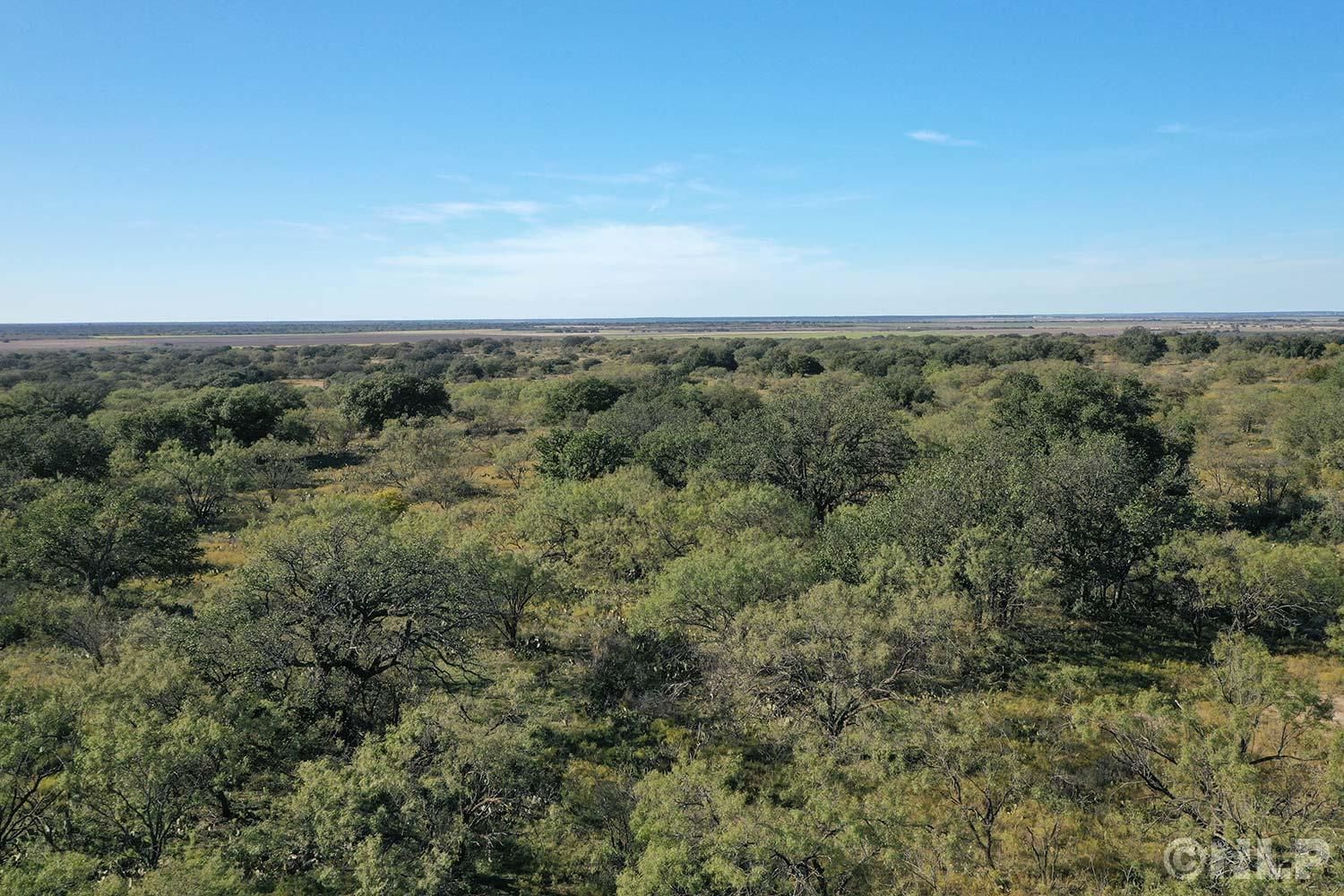 60 acres in Brady, TX, 76825