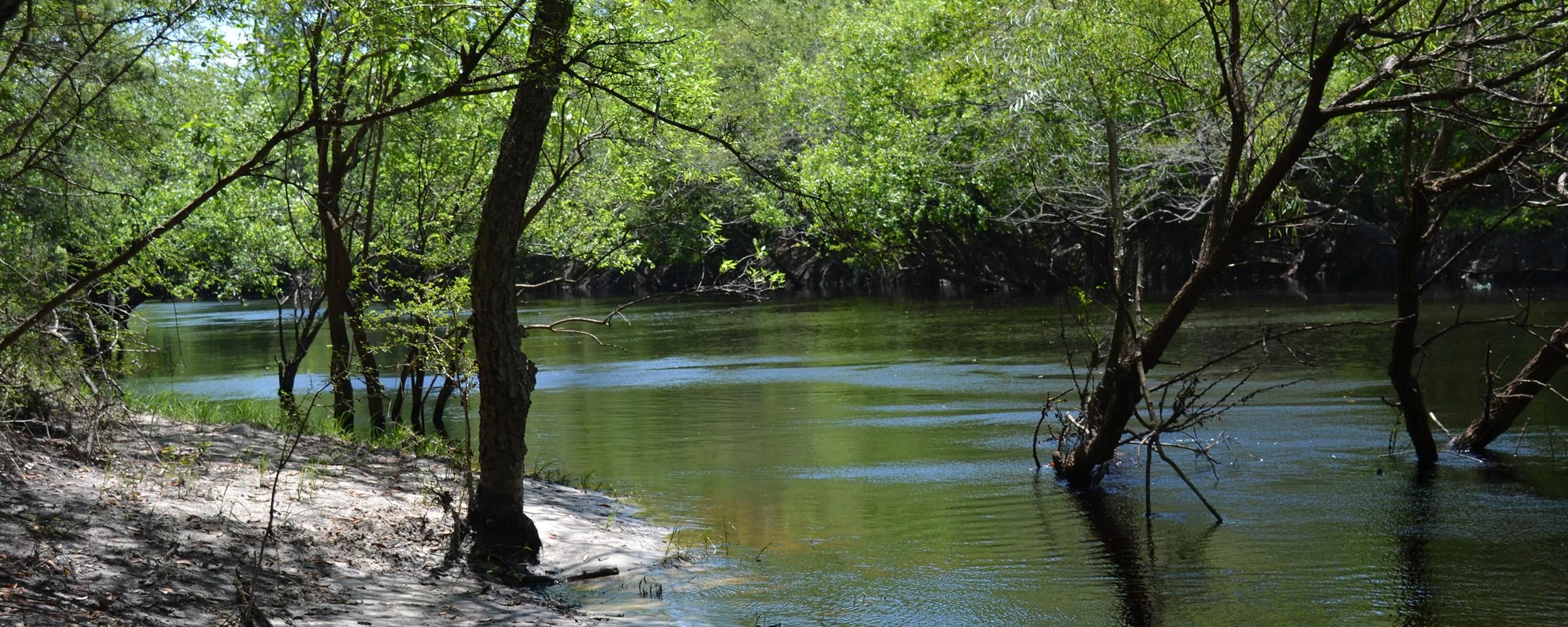 70 acres in Nassau County, Florida