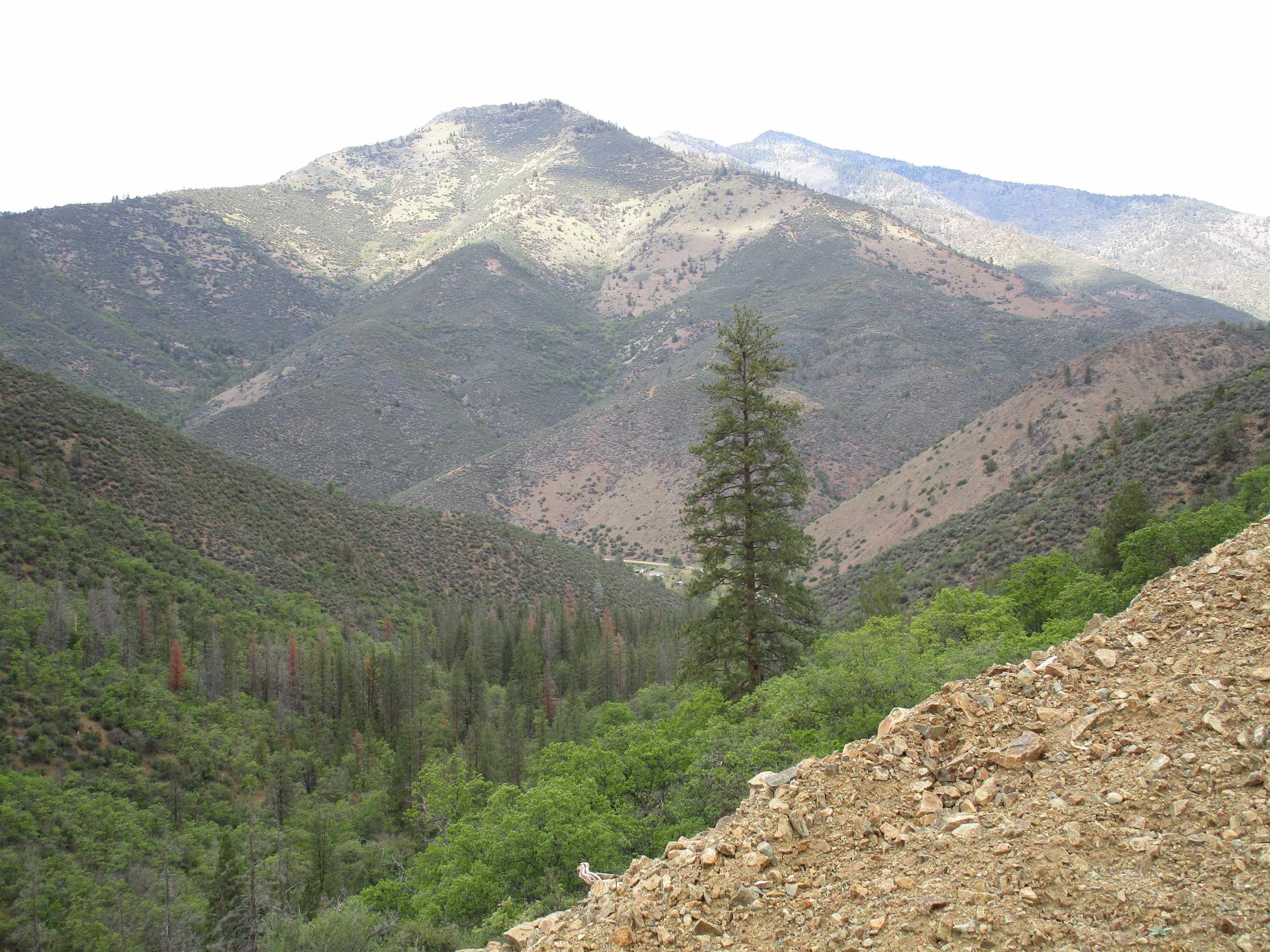 200 acres in Siskiyou County, California