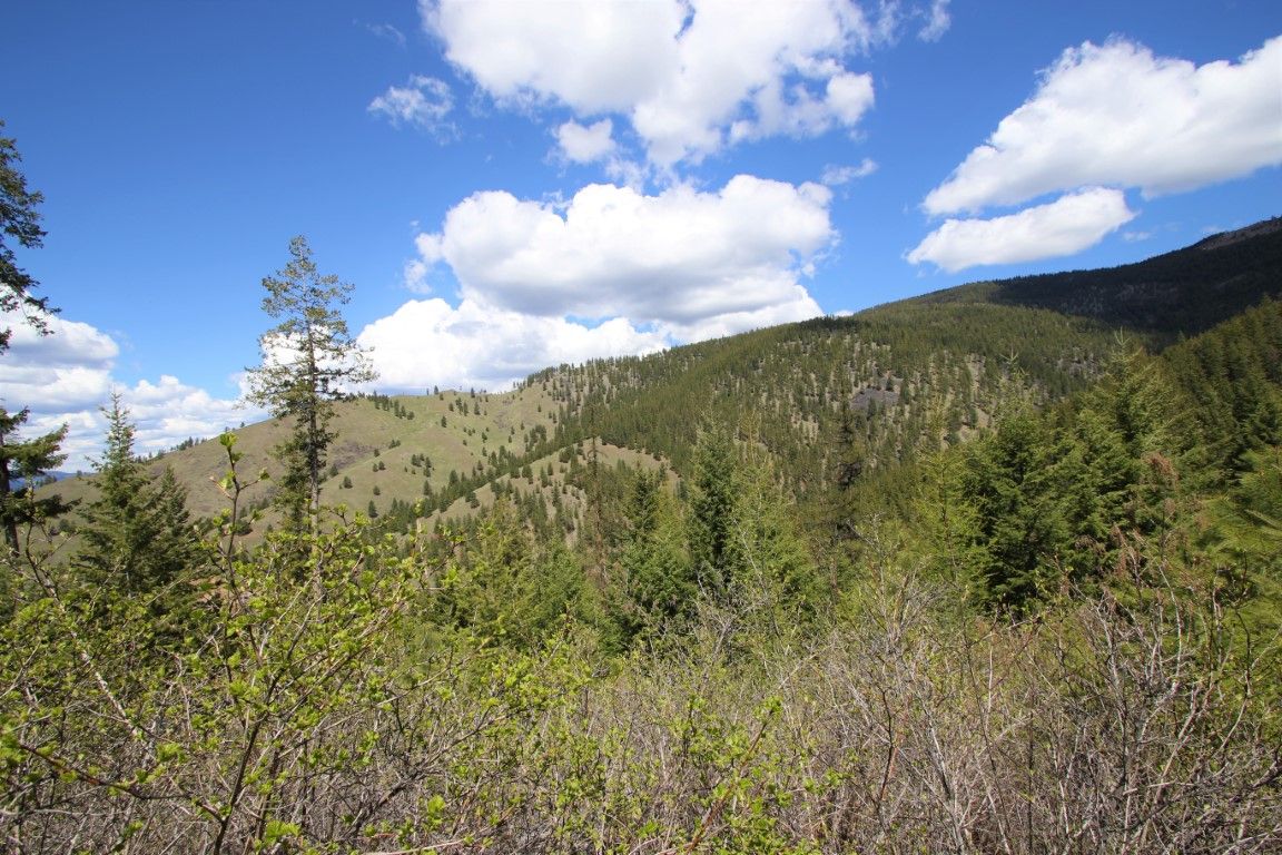 20 acres in Sanders County, Montana