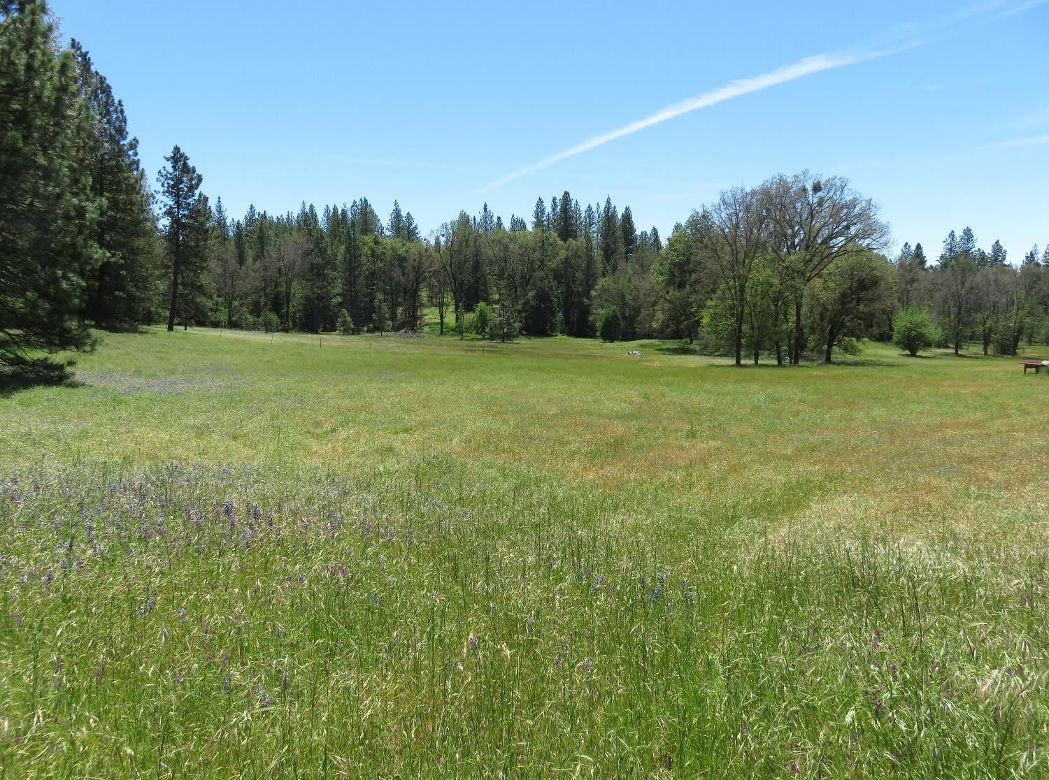 24.49 acres in Calaveras County, California