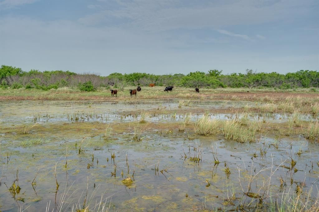 80 acres in Wichita County, Texas