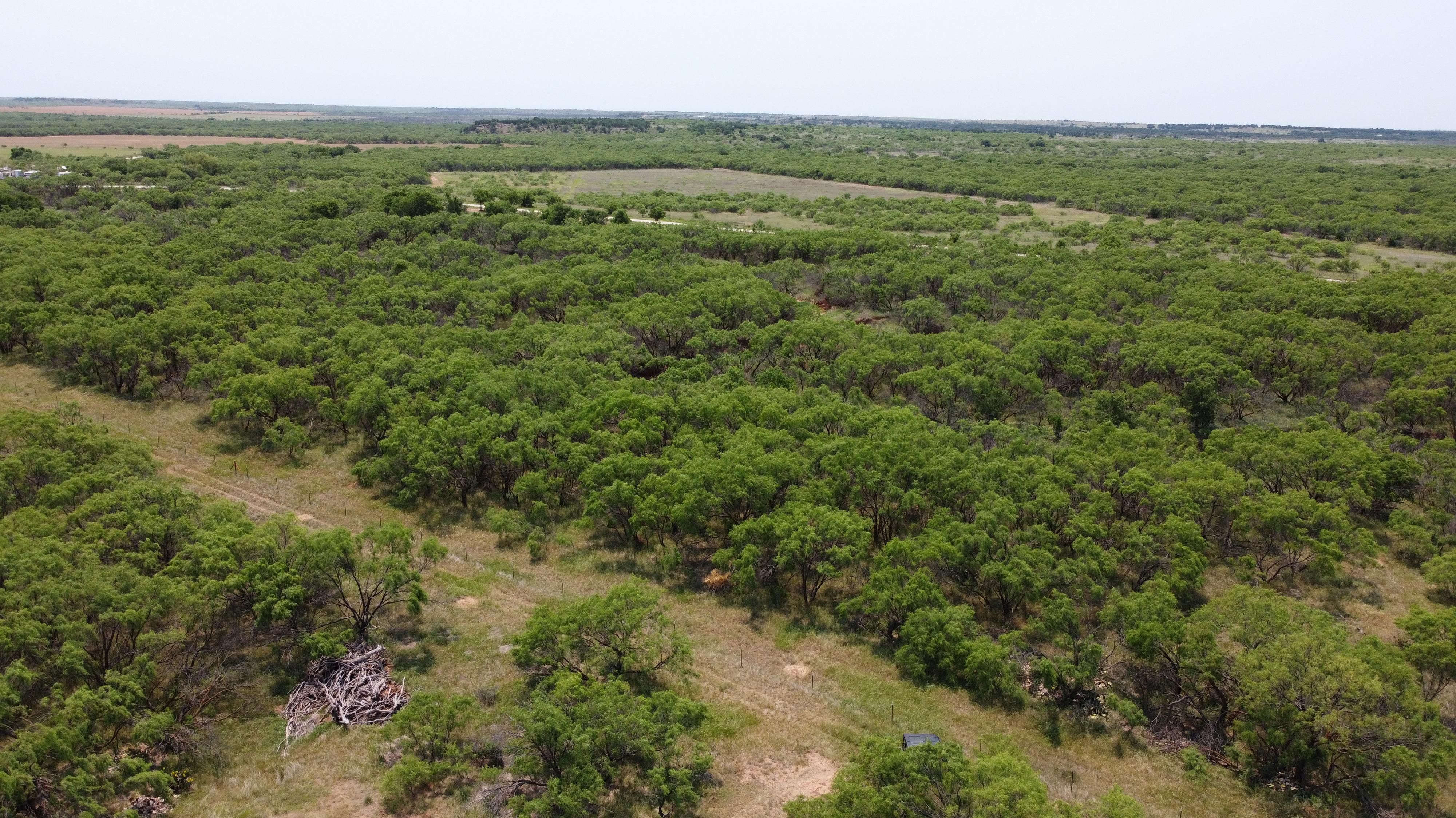 70 acres in Archer County, Texas