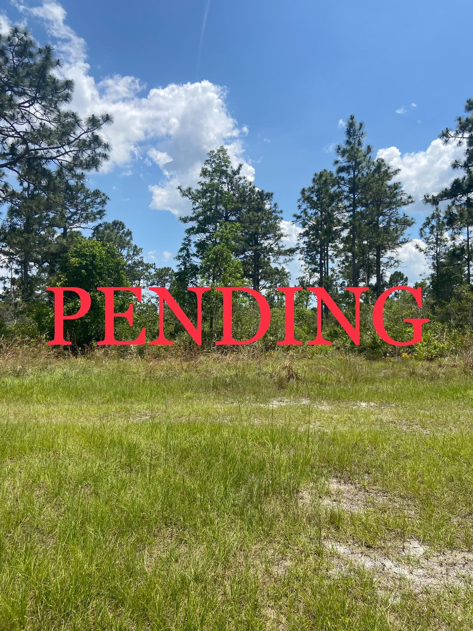 5 acres in Okeechobee County, Florida