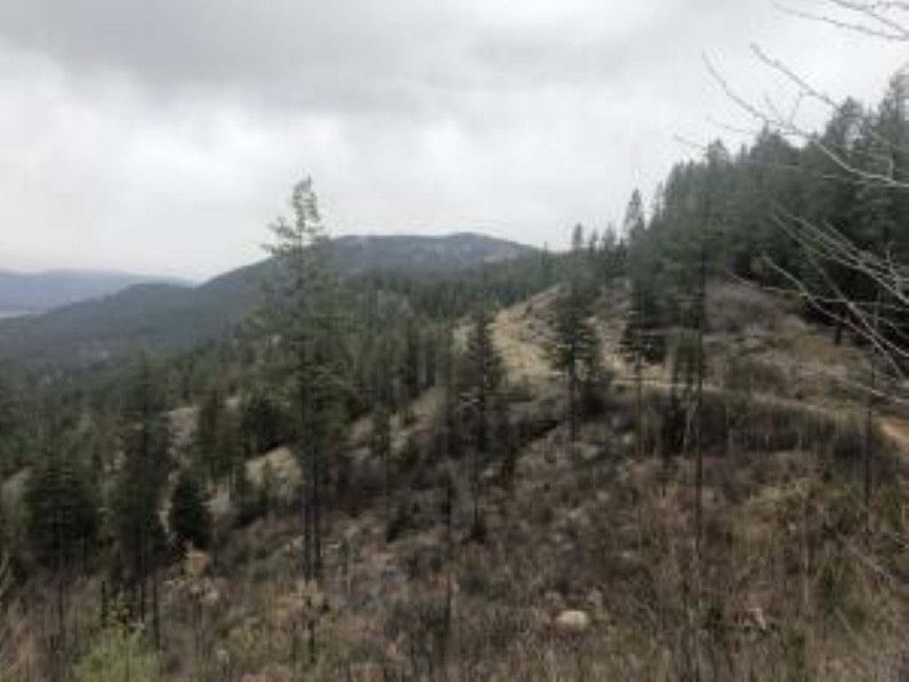 40 acres in Stevens County, Washington