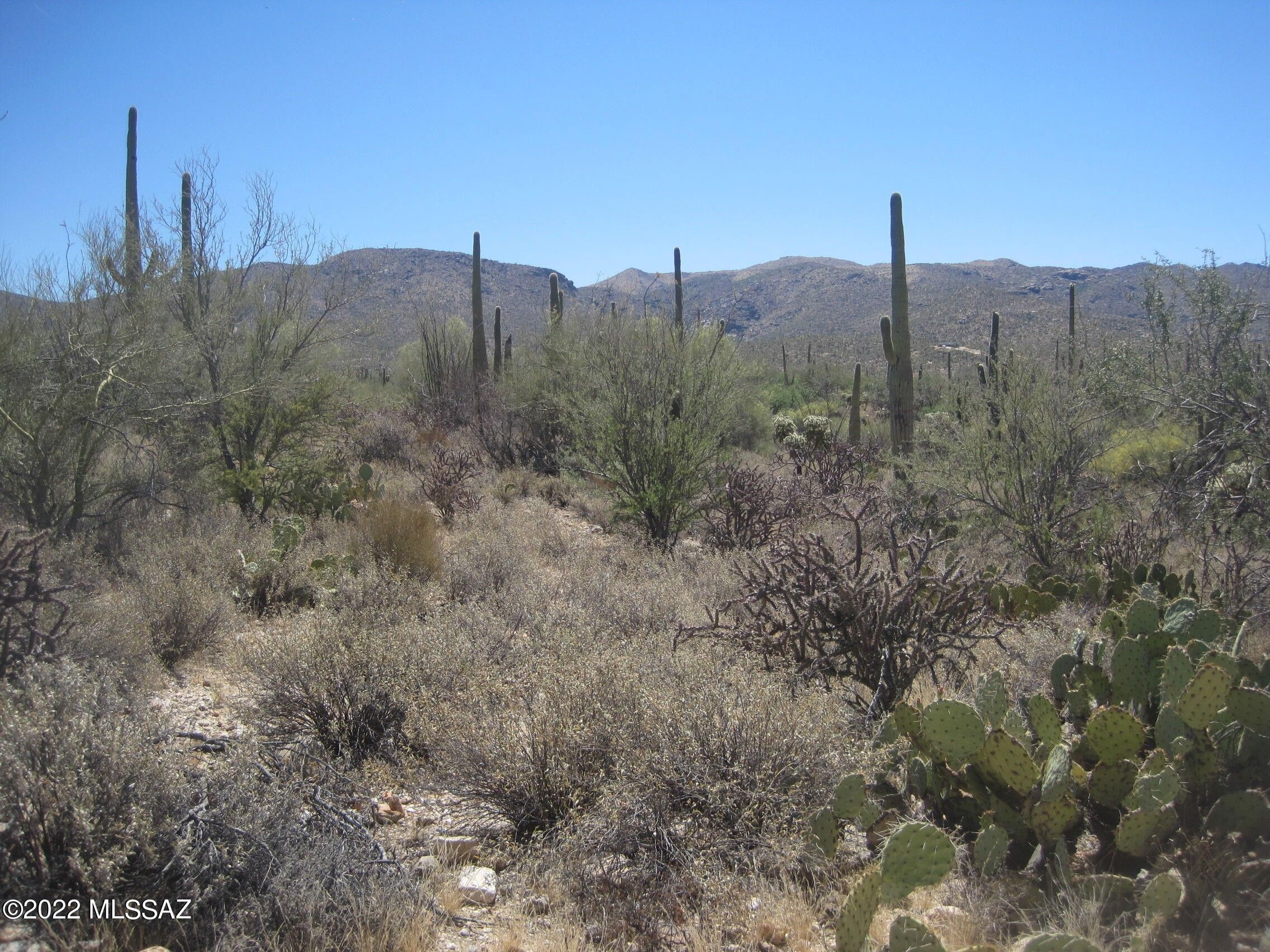 20 acres in Pinal County, Arizona