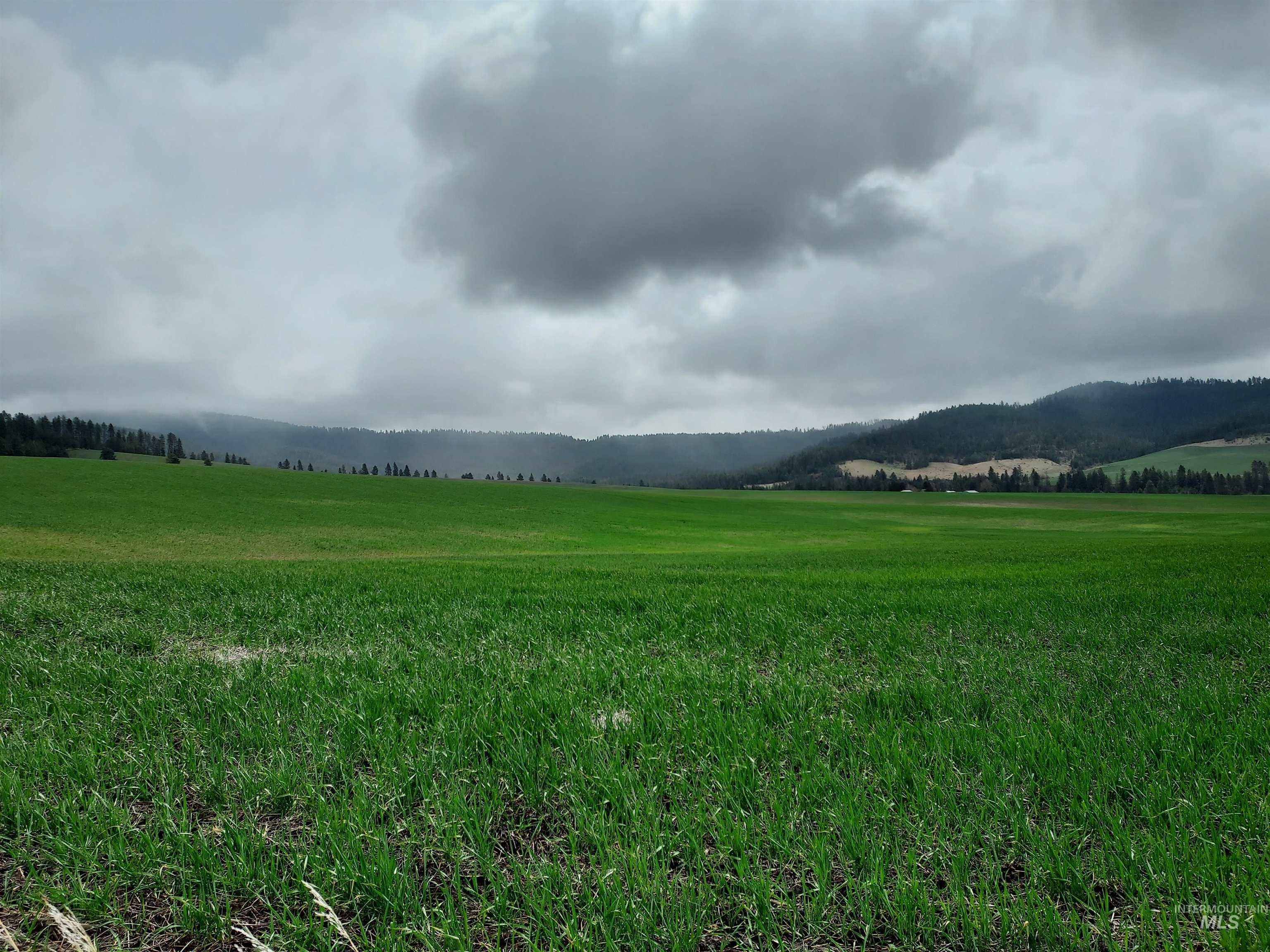 40 acres in Whitman County, Washington