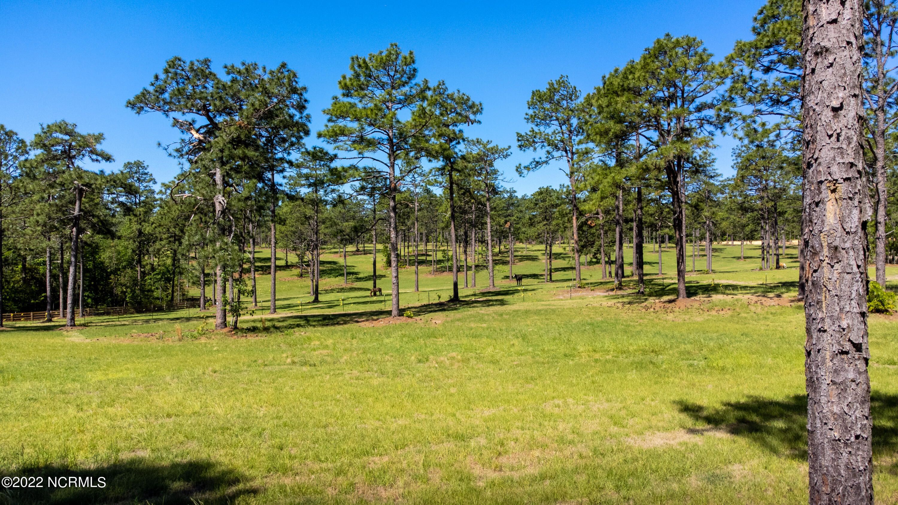 184 Youngs Road, Vass, NC 28394 MLS 100328298