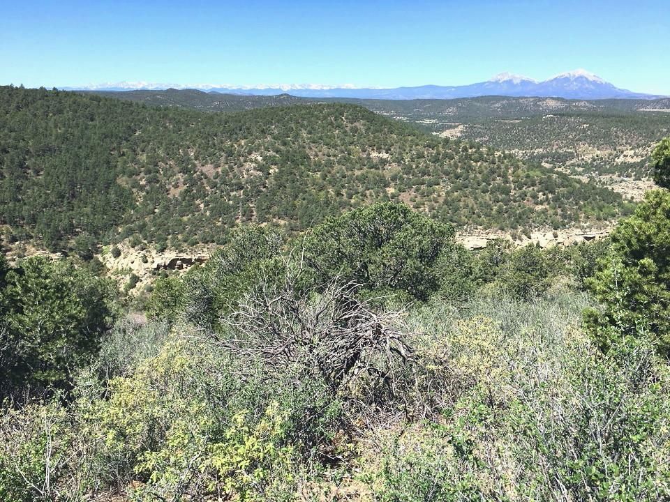 40 acres in Trinidad, CO, 81082