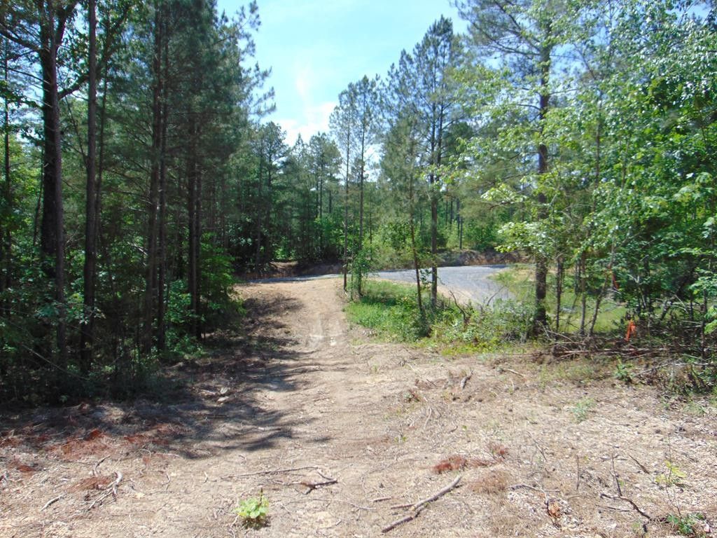 41.18 acres in Meigs County, Tennessee