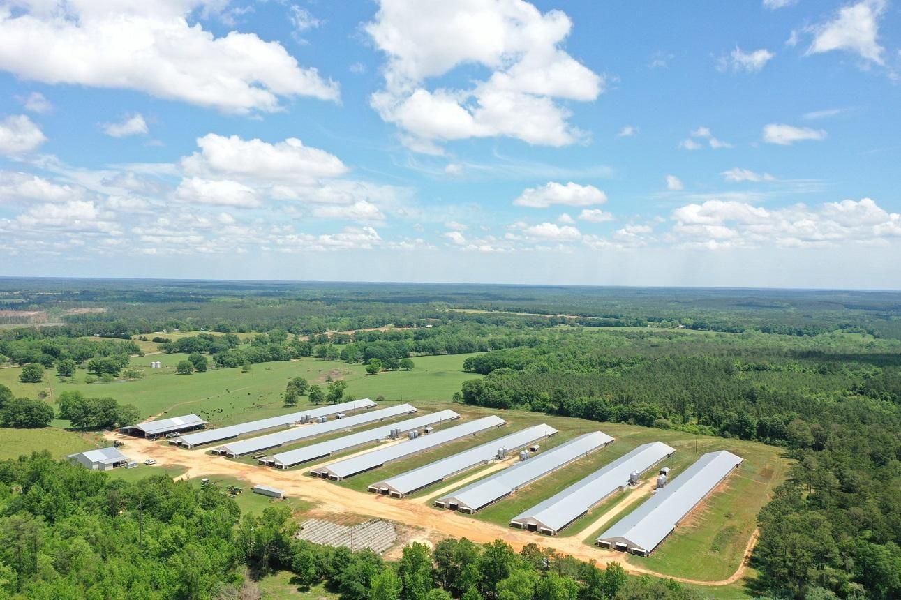 31 acres in Conecuh County, Alabama