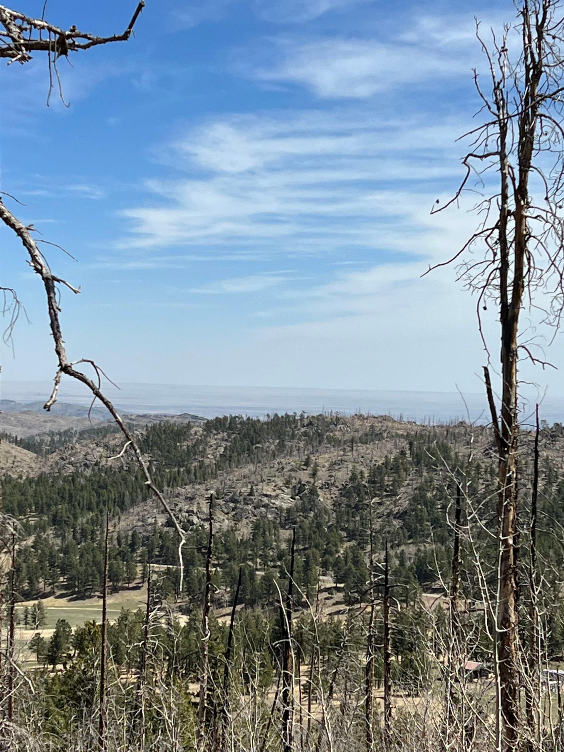 1.56 acres in Larimer County, Colorado