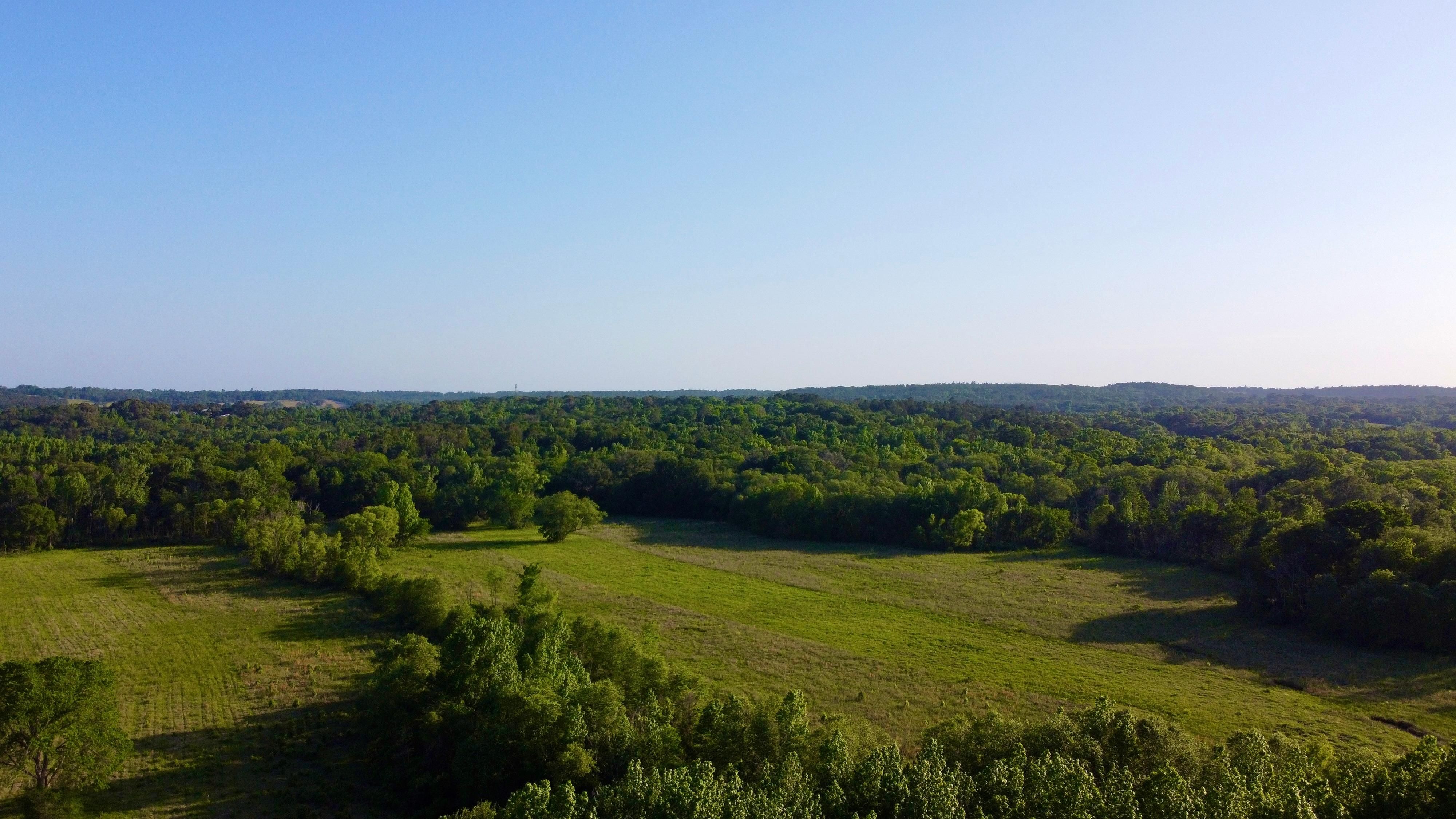 232 acres in Anderson County, Texas