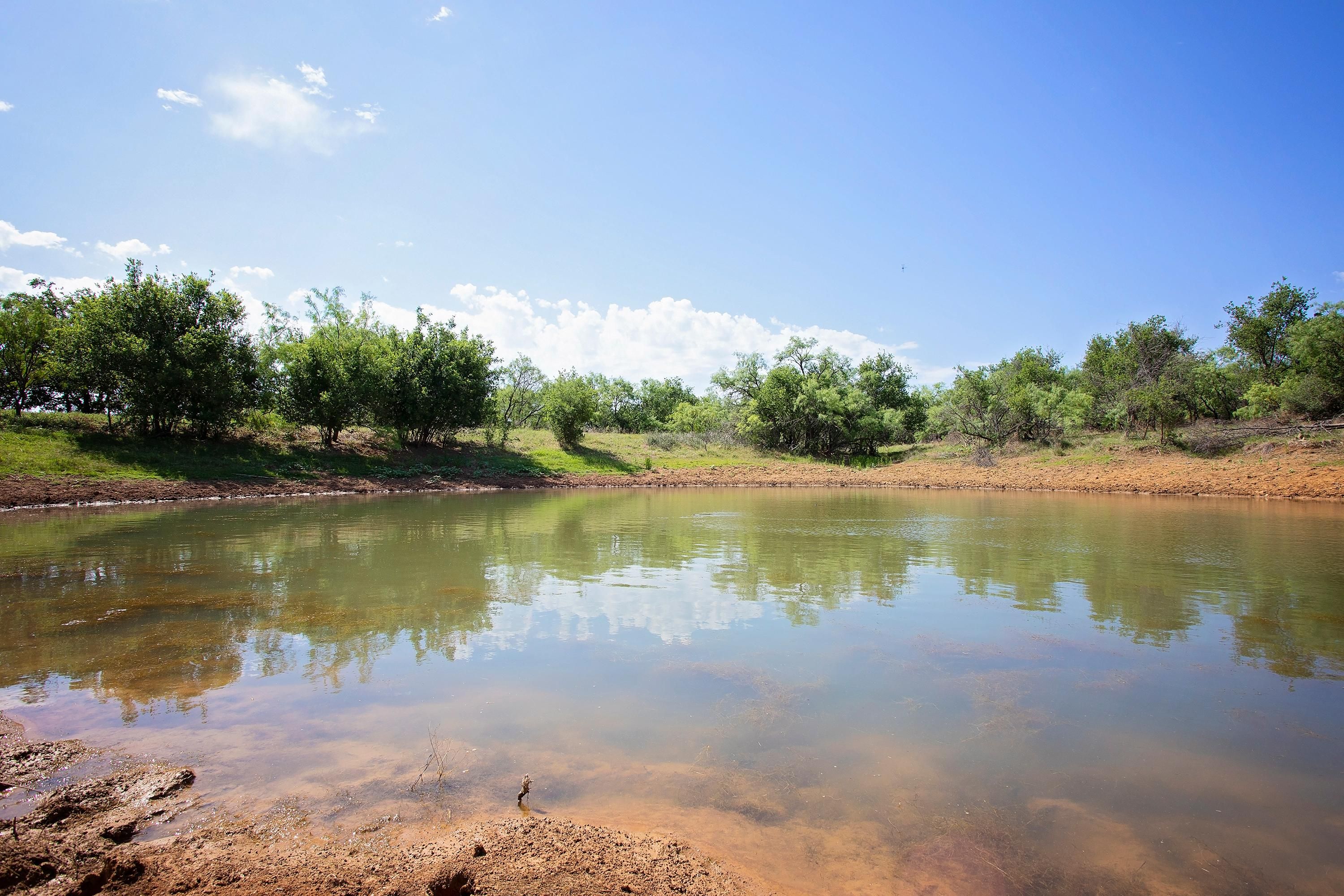 80 acres in Young County, Texas