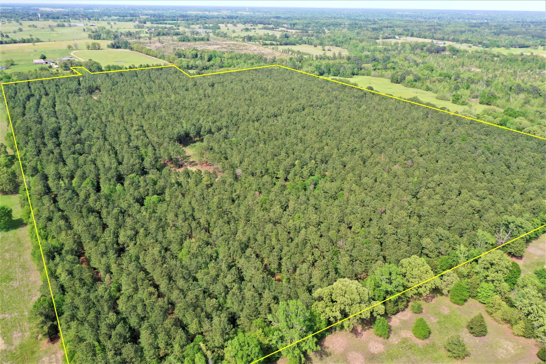 73 acres in Bowie County, Texas