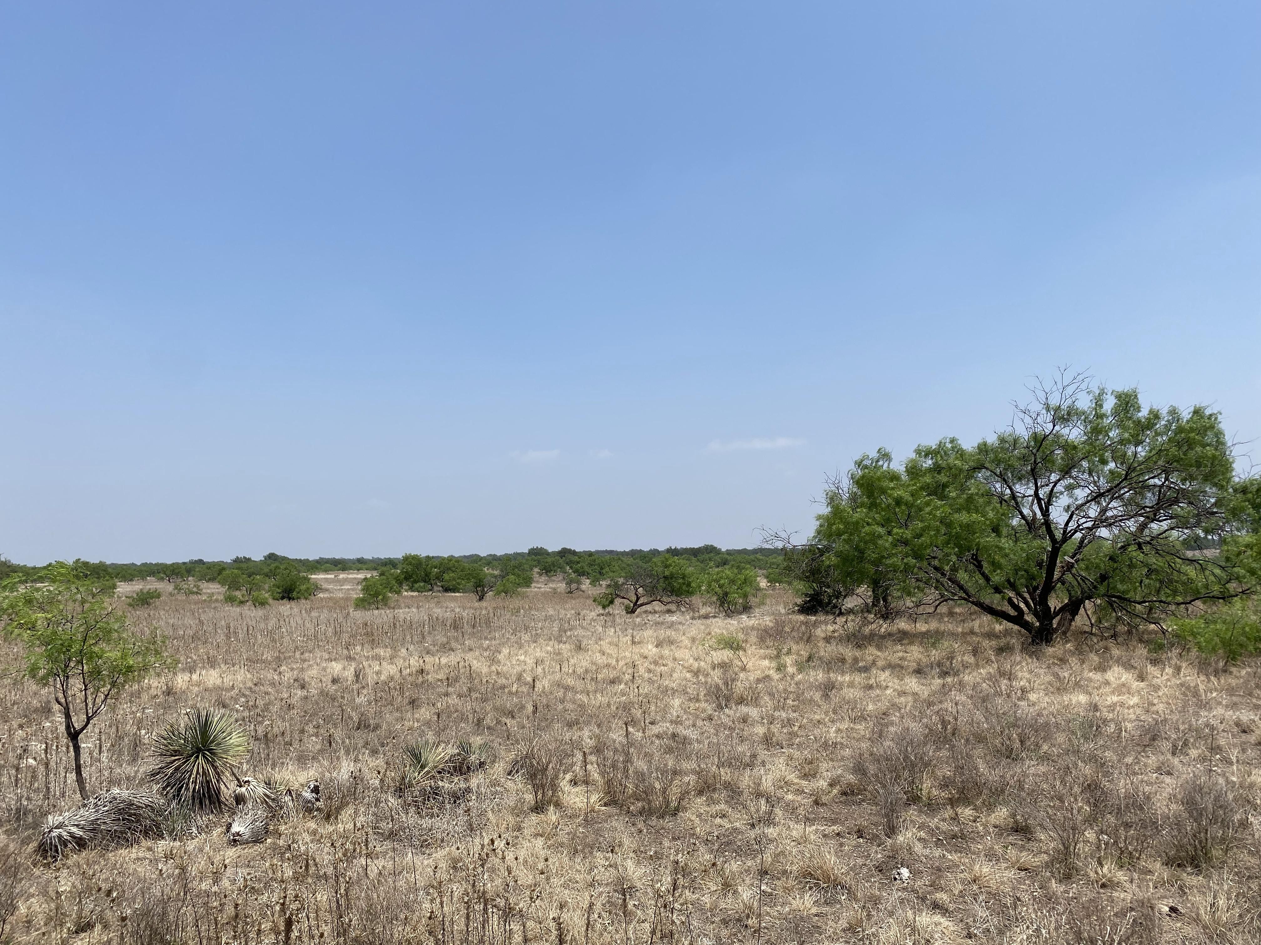 Easement, Waddell Ln, Menard, TX 76859 MLS 1607682