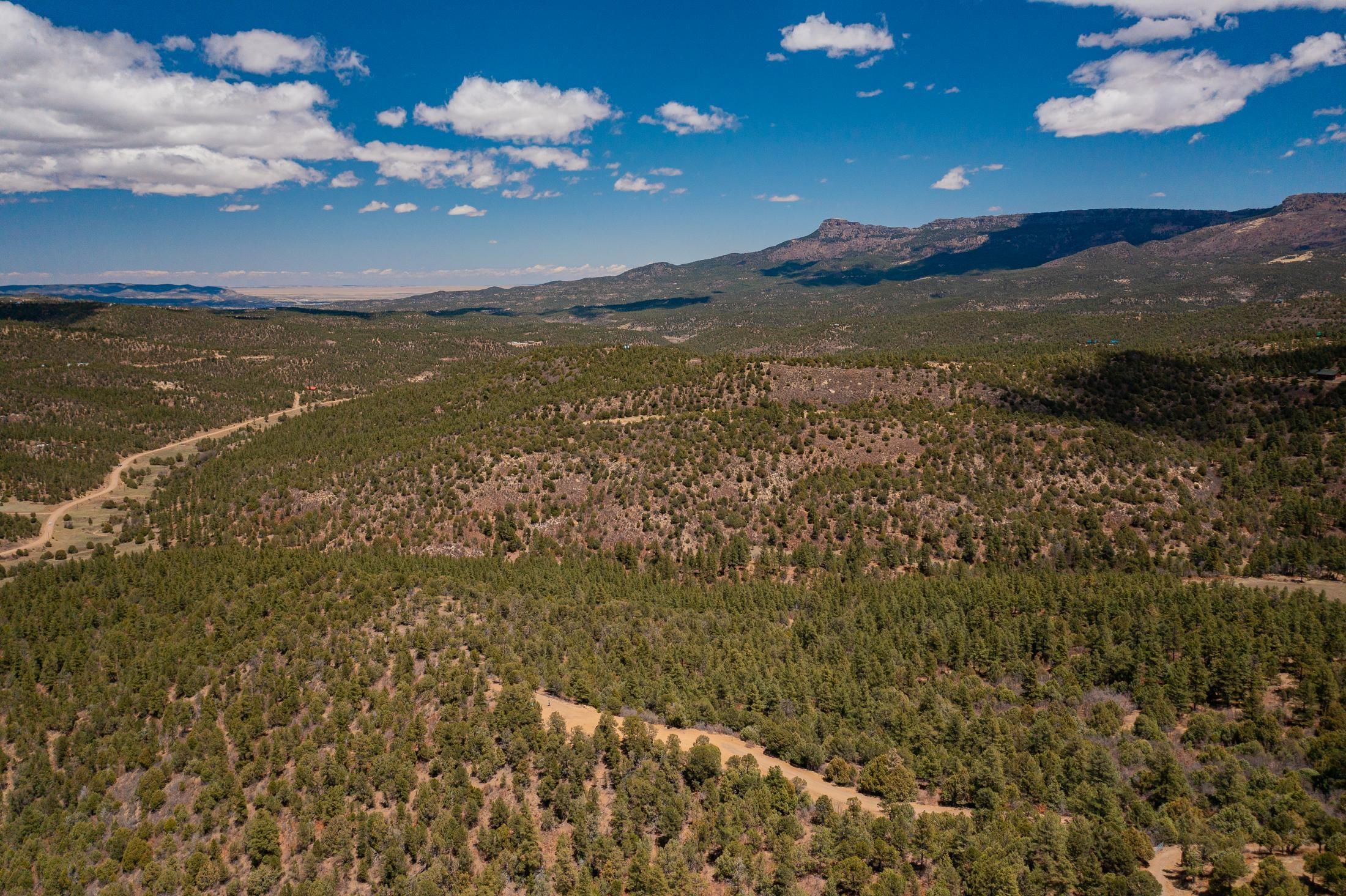 39.18 acres in Las Animas County, Colorado