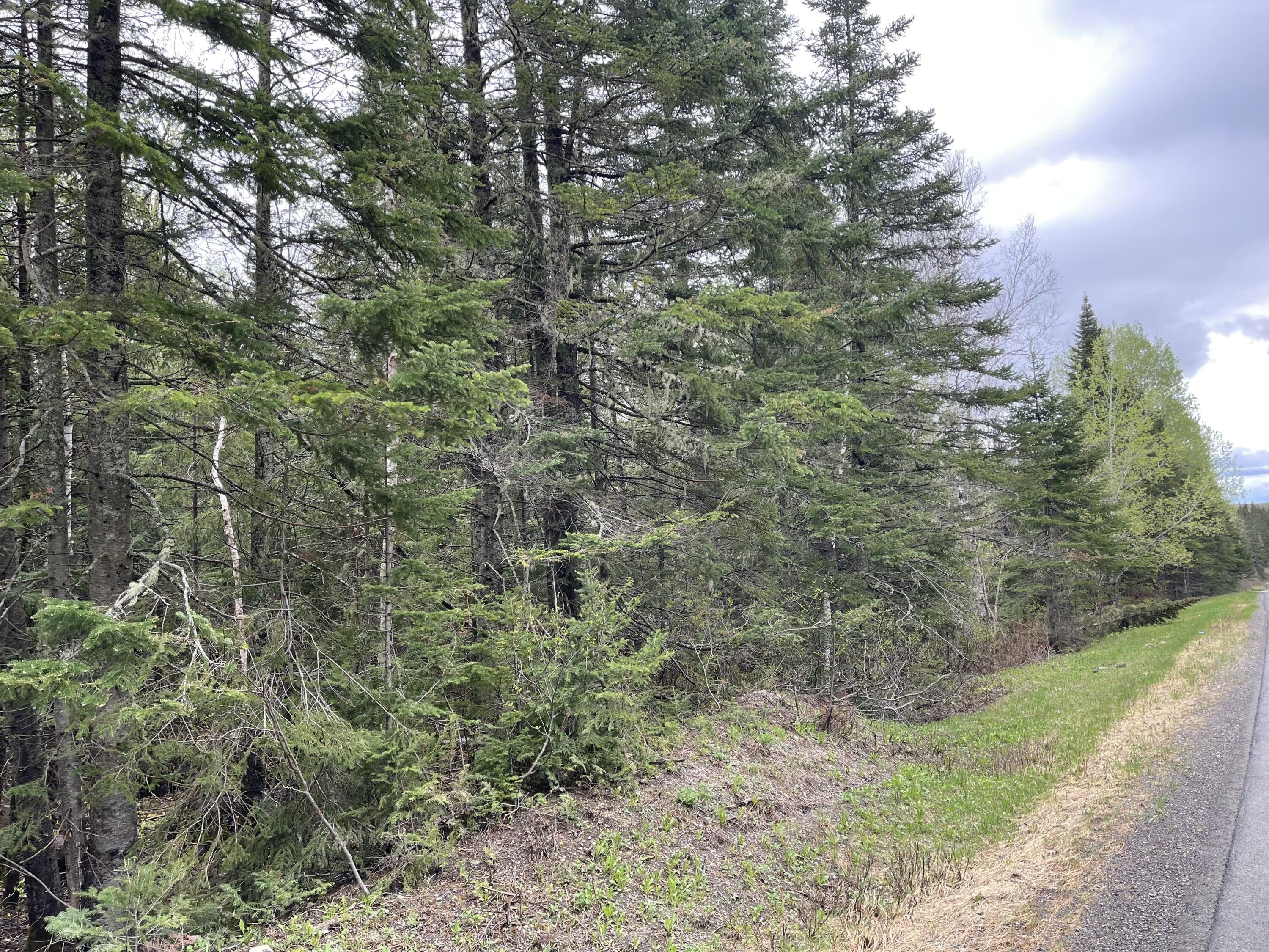 31 acres in Aroostook County, Maine