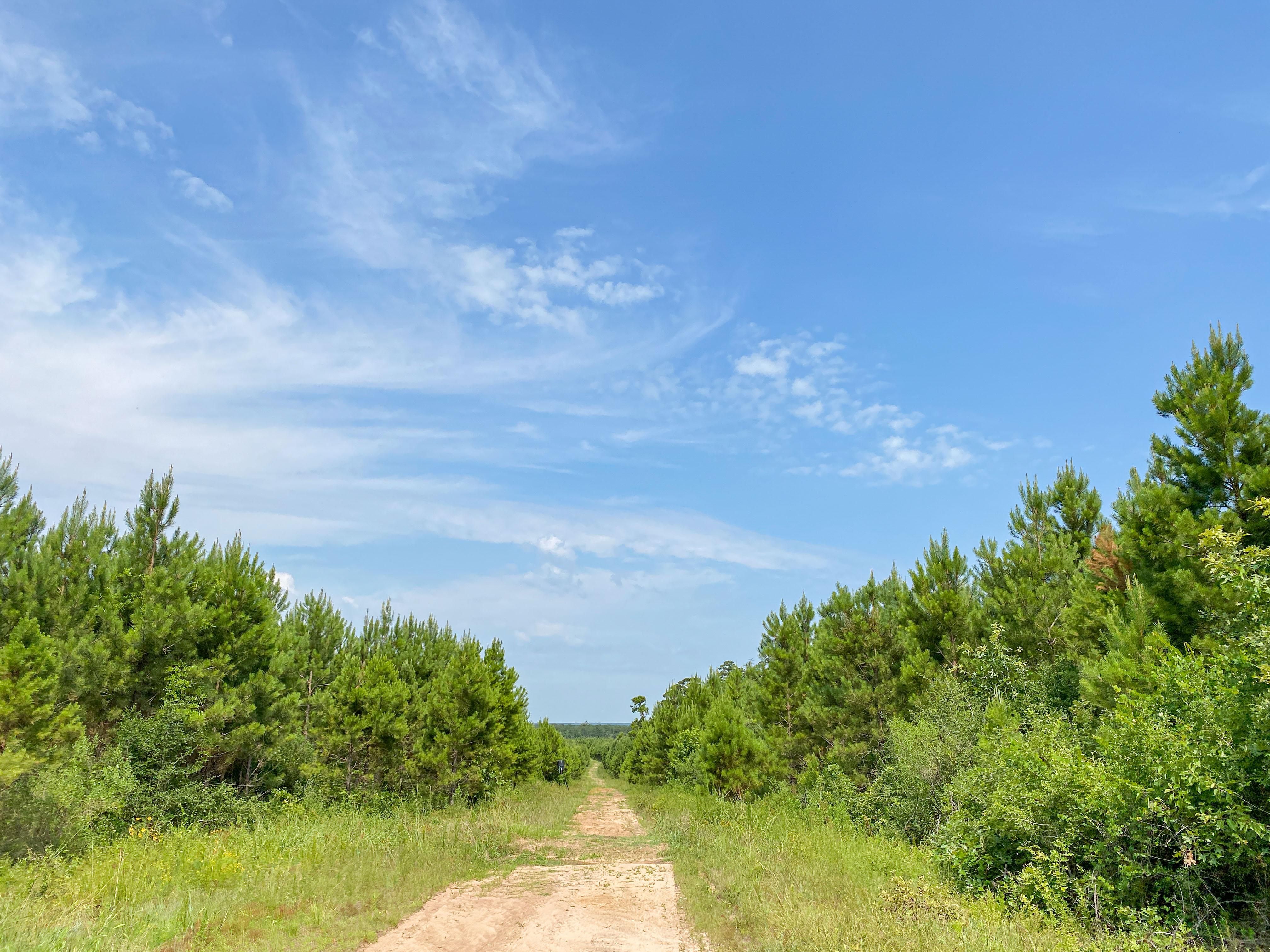 488 acres in Polk County, Texas