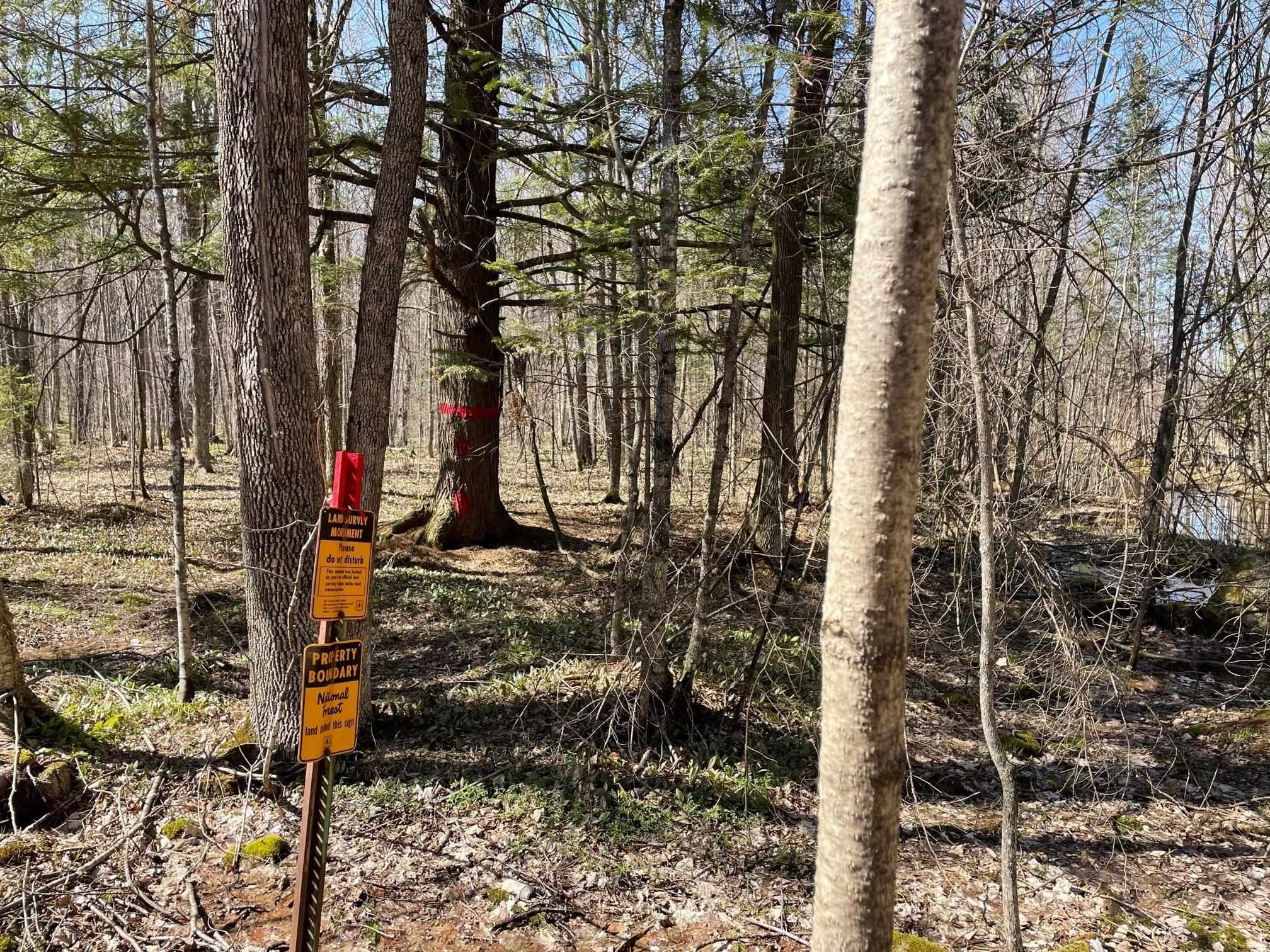 75 acres in Forest County, Wisconsin