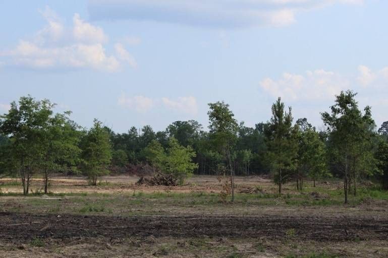 35.67 acres in Sabine Parish, Louisiana