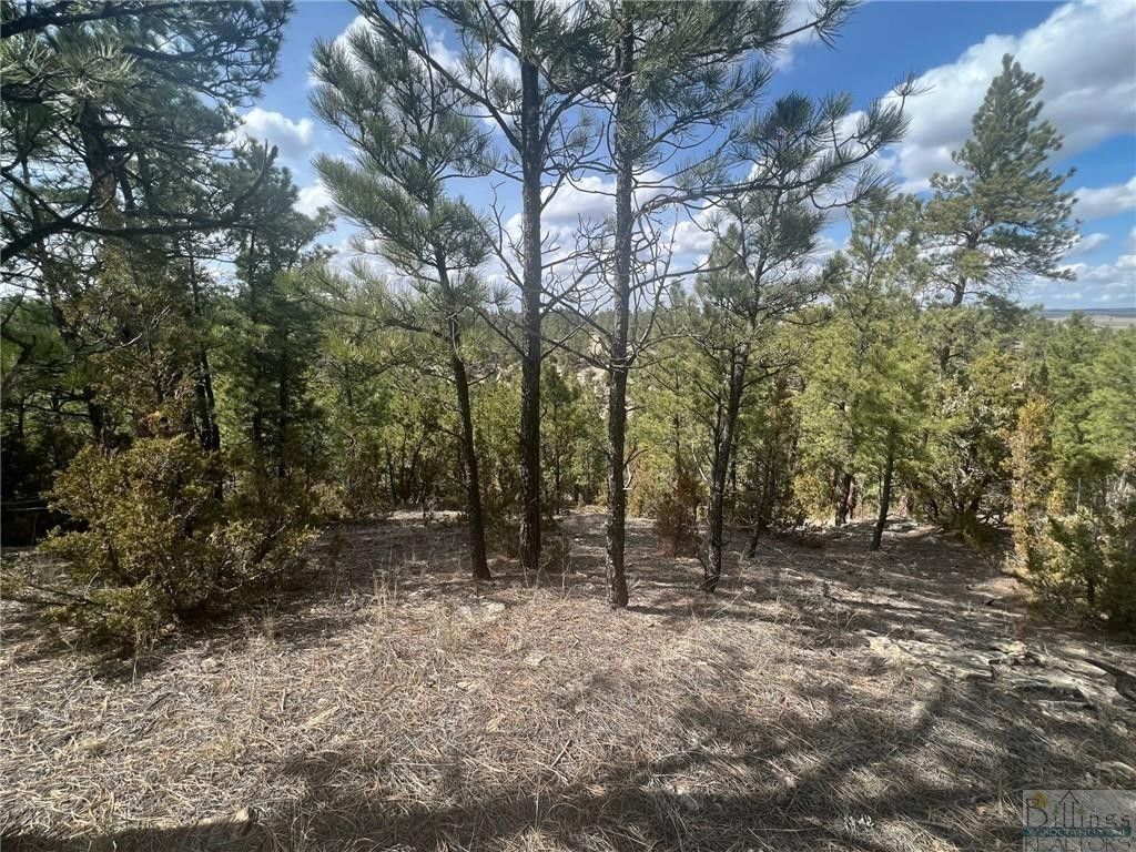 20 acres in Musselshell County, Montana