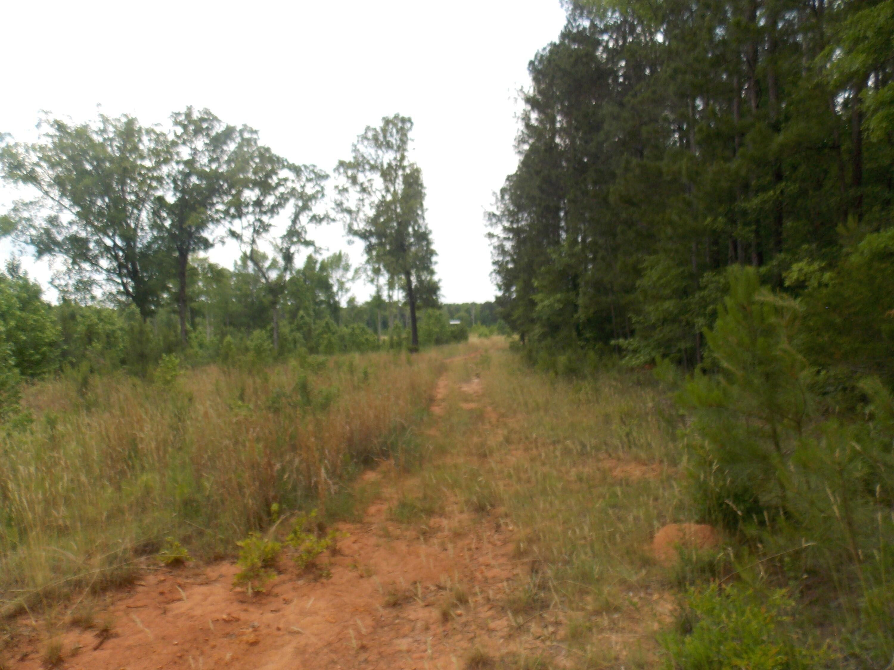 19.8 acres in Lincoln County,