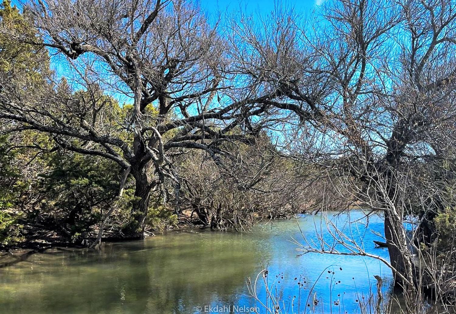 Hwy 277, Wingate, TX 79566