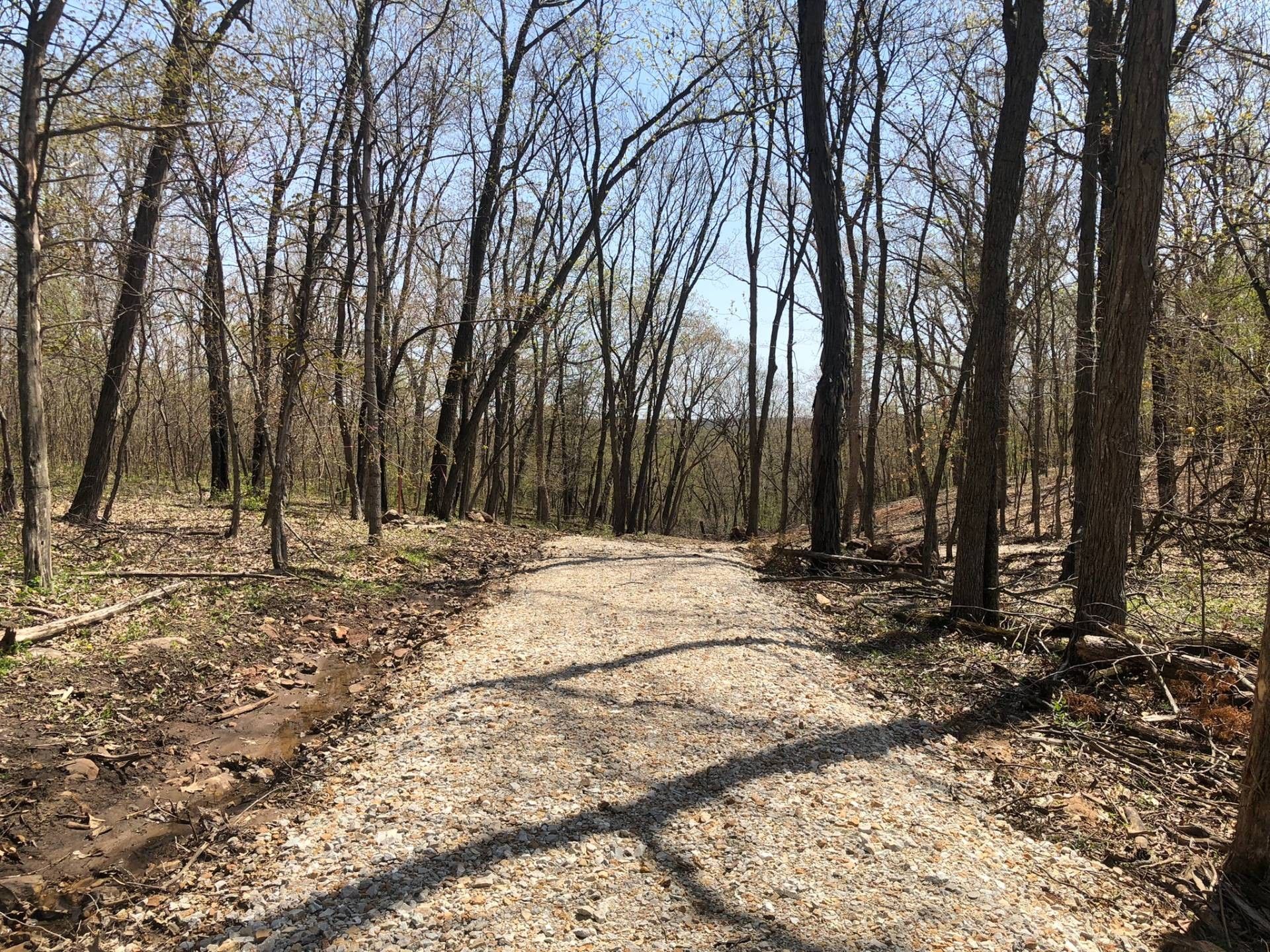 355.77 acres in Callaway County, Missouri