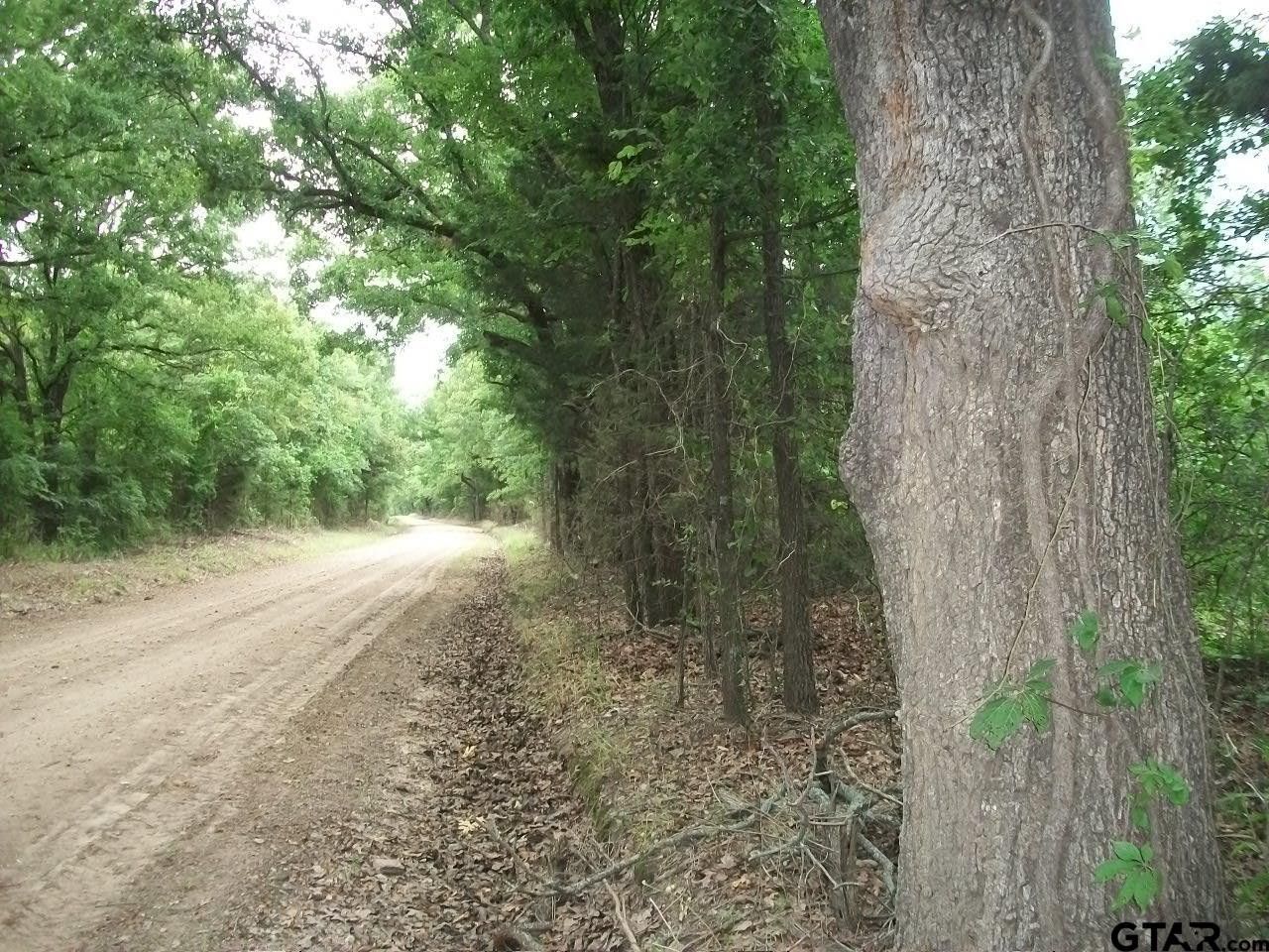 60 acres in Red River County, Texas