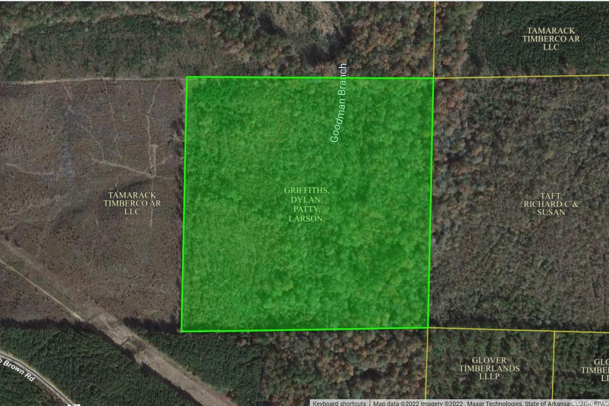40 acres in Hot Spring County, Arkansas