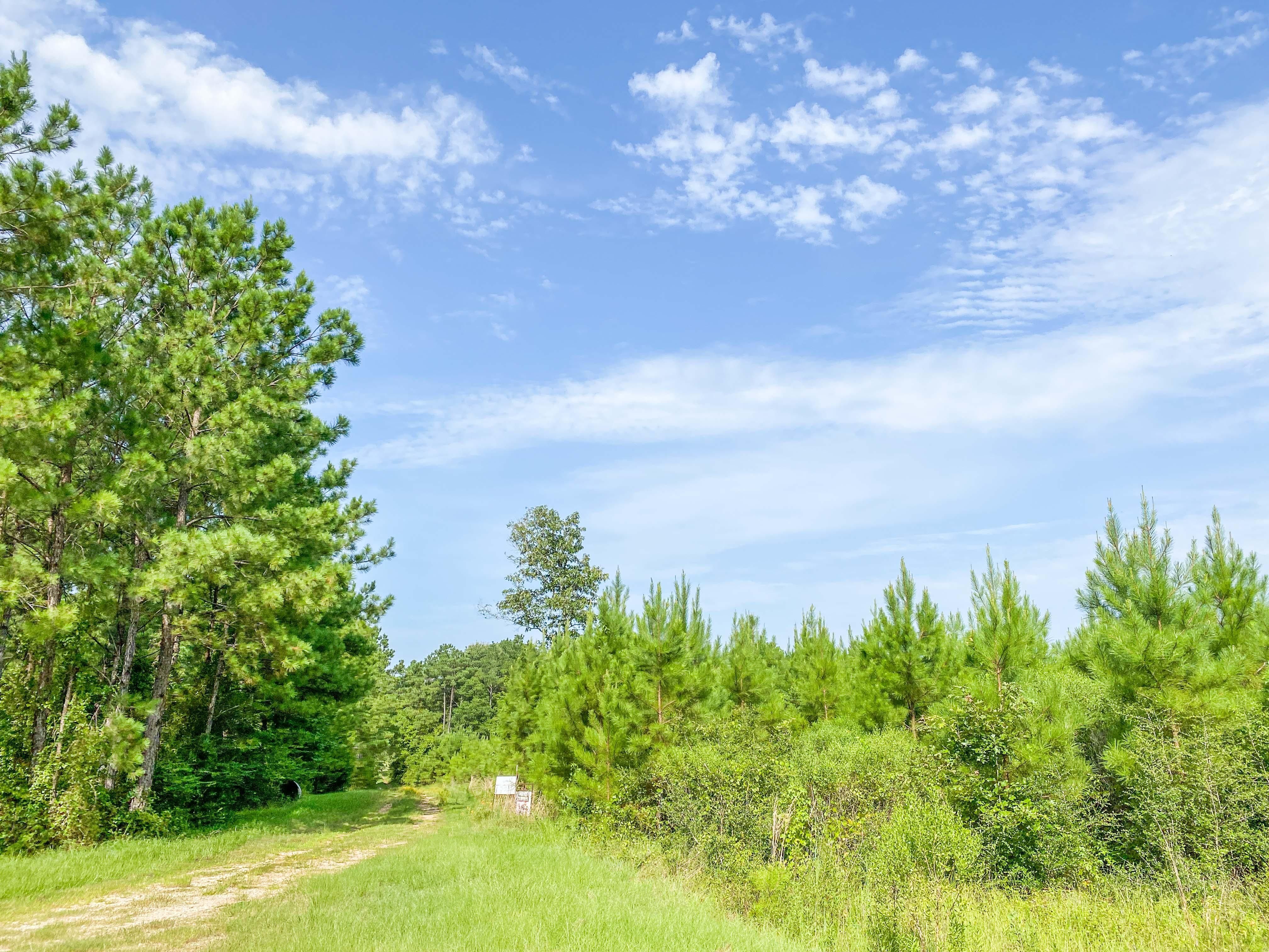 Land For Sale Livingston Tx - g9065cm