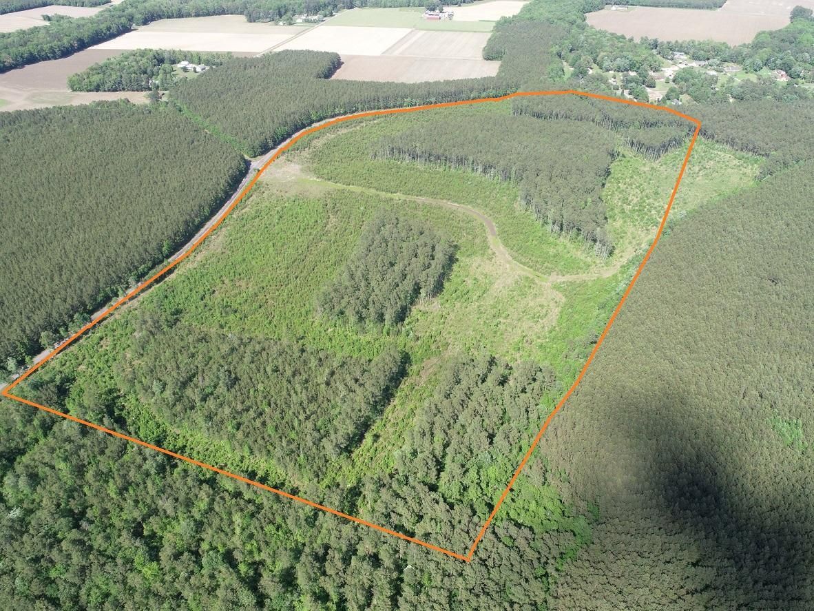79 acres in Isle of Wight County, Virginia
