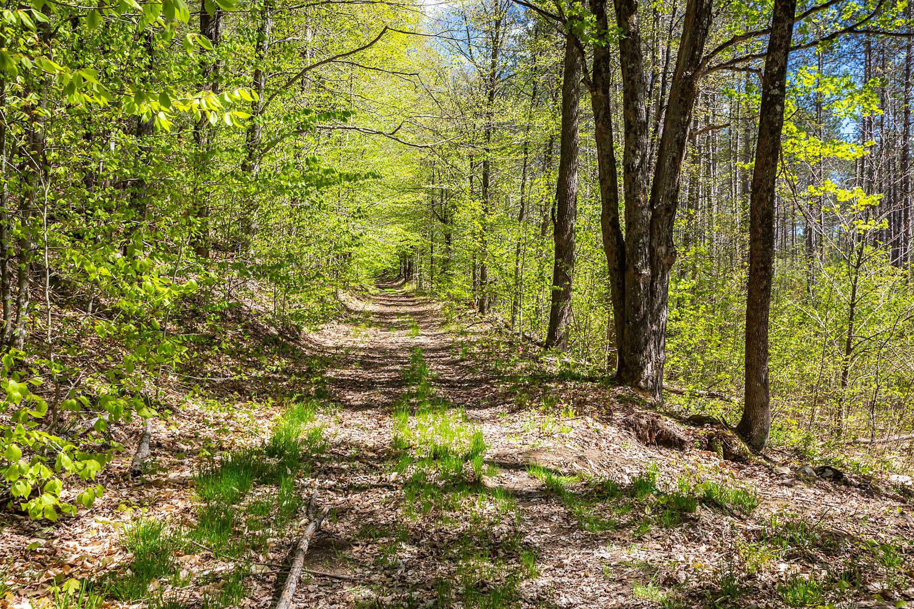 100 acres in Windsor County, Vermont