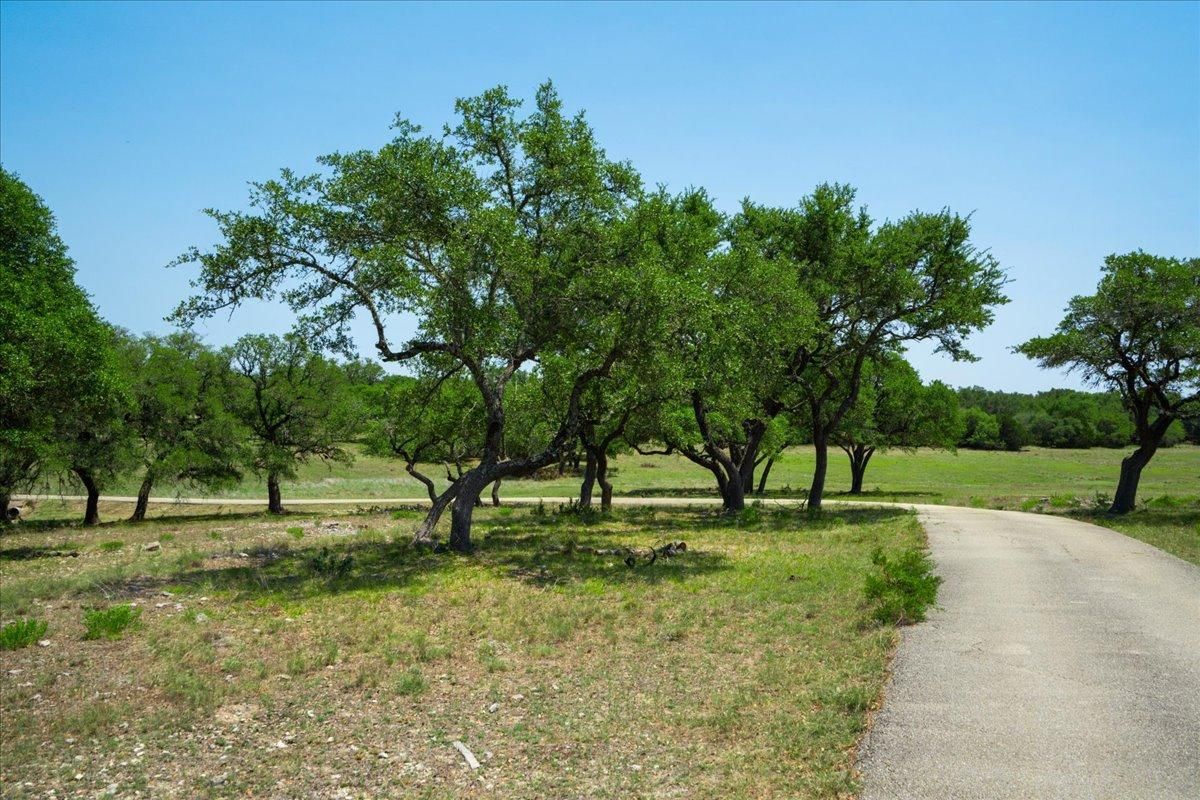 72 acres in Hays County, Texas