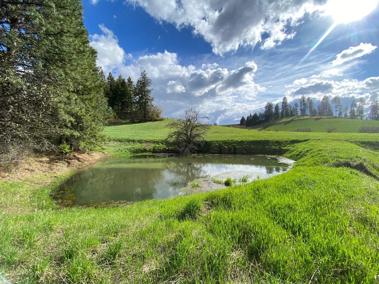 380.54 acres in Clearwater County, Idaho