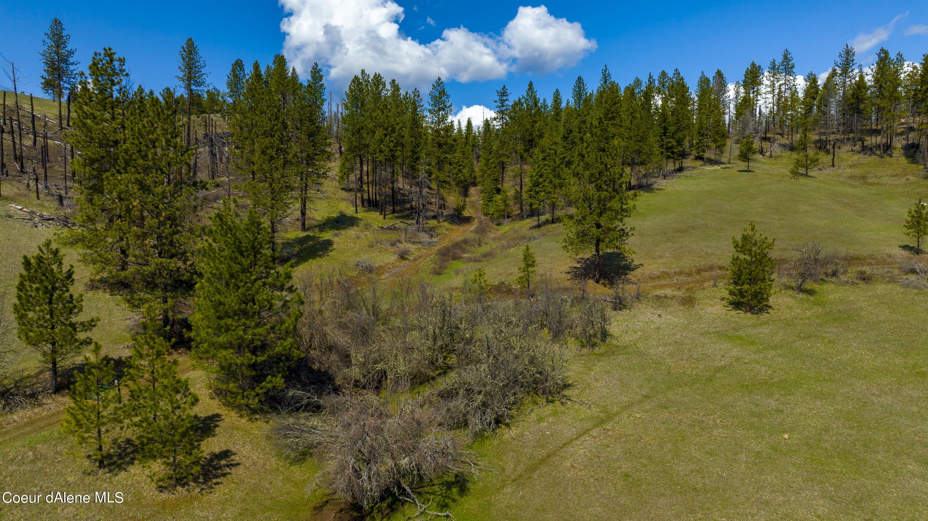 20 acres in Clearwater County, Idaho