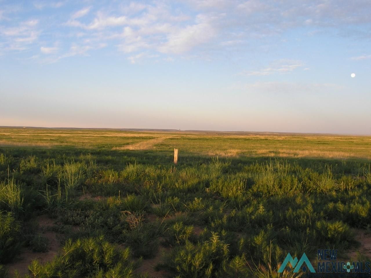 80 acres in Harding County, New Mexico