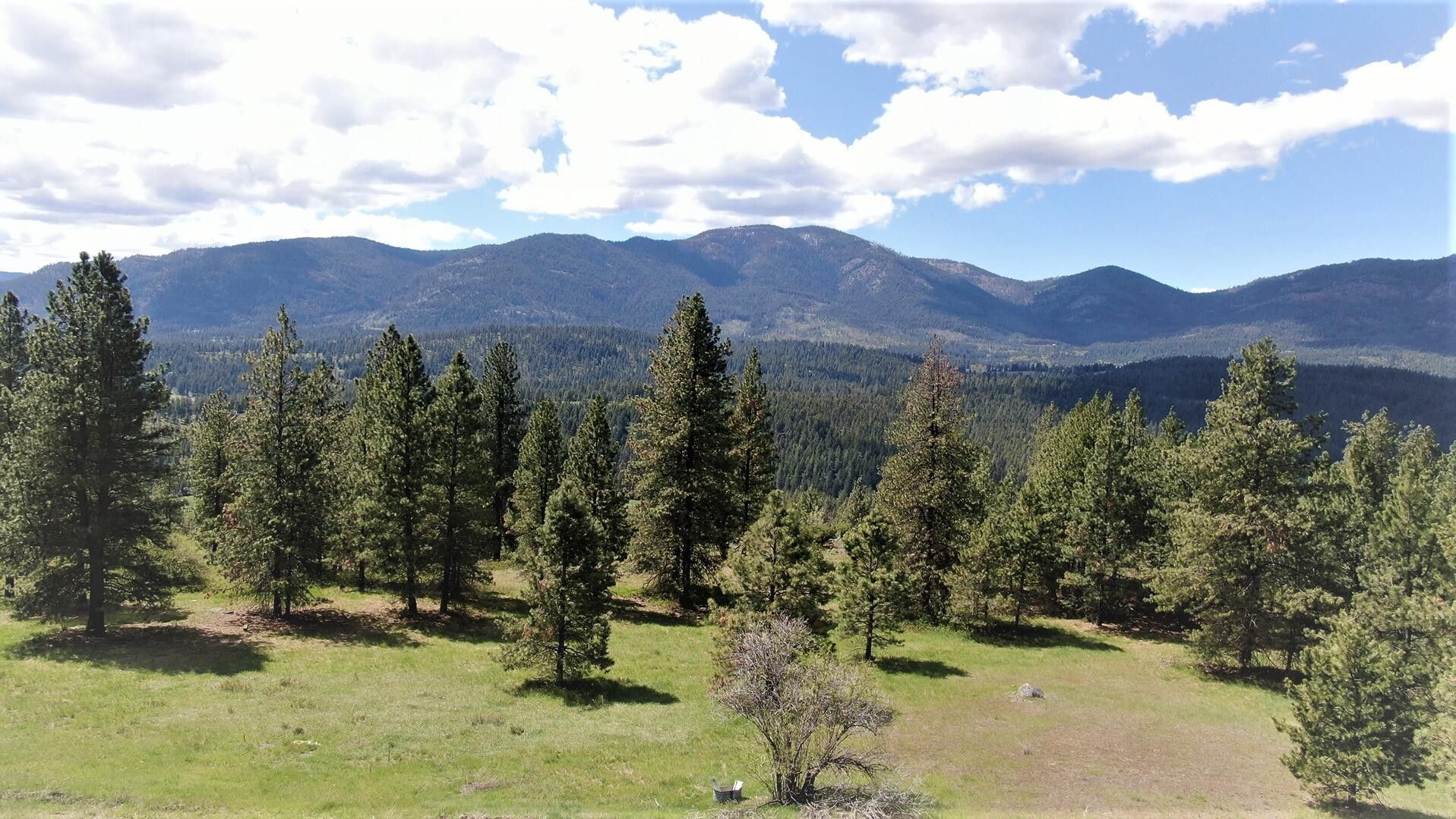 40 acres in Stevens County, Washington