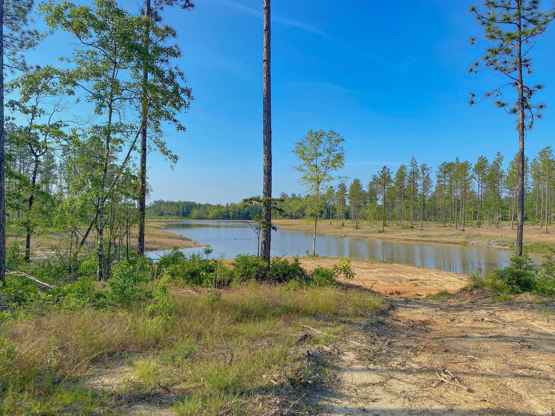 176 acres in Pearl River County Mississippi