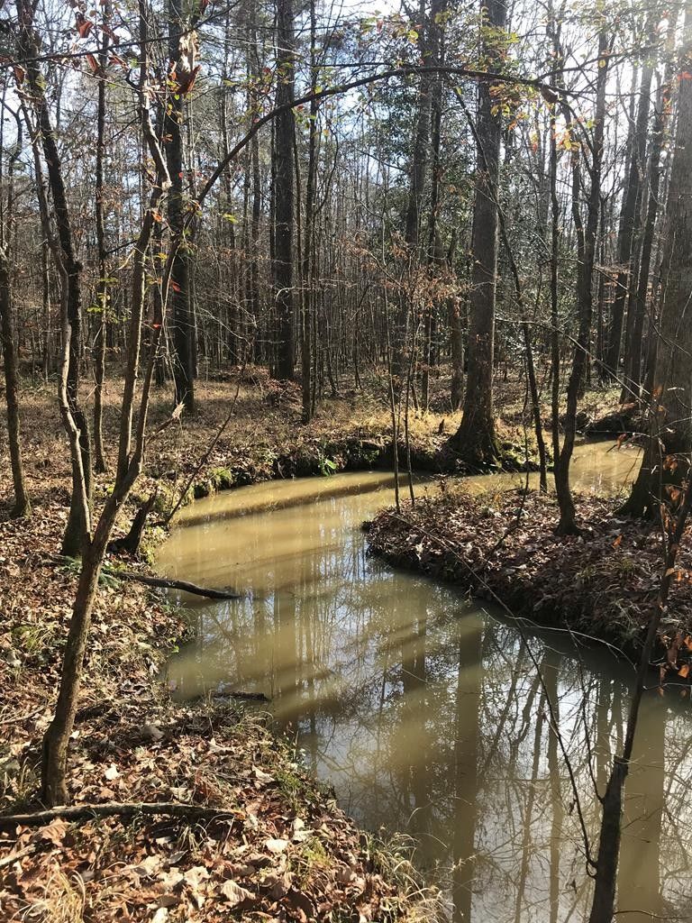 81 acres in Copiah County, Mississippi
