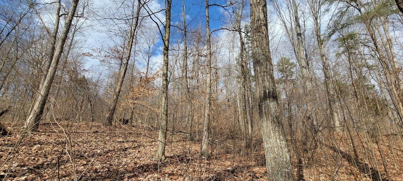 51 acres in Martin County, Indiana
