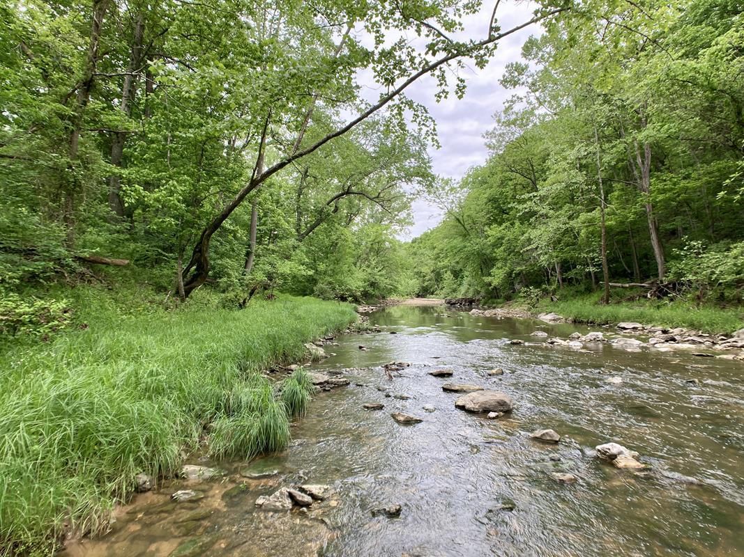 70 acres in Callaway County, Missouri