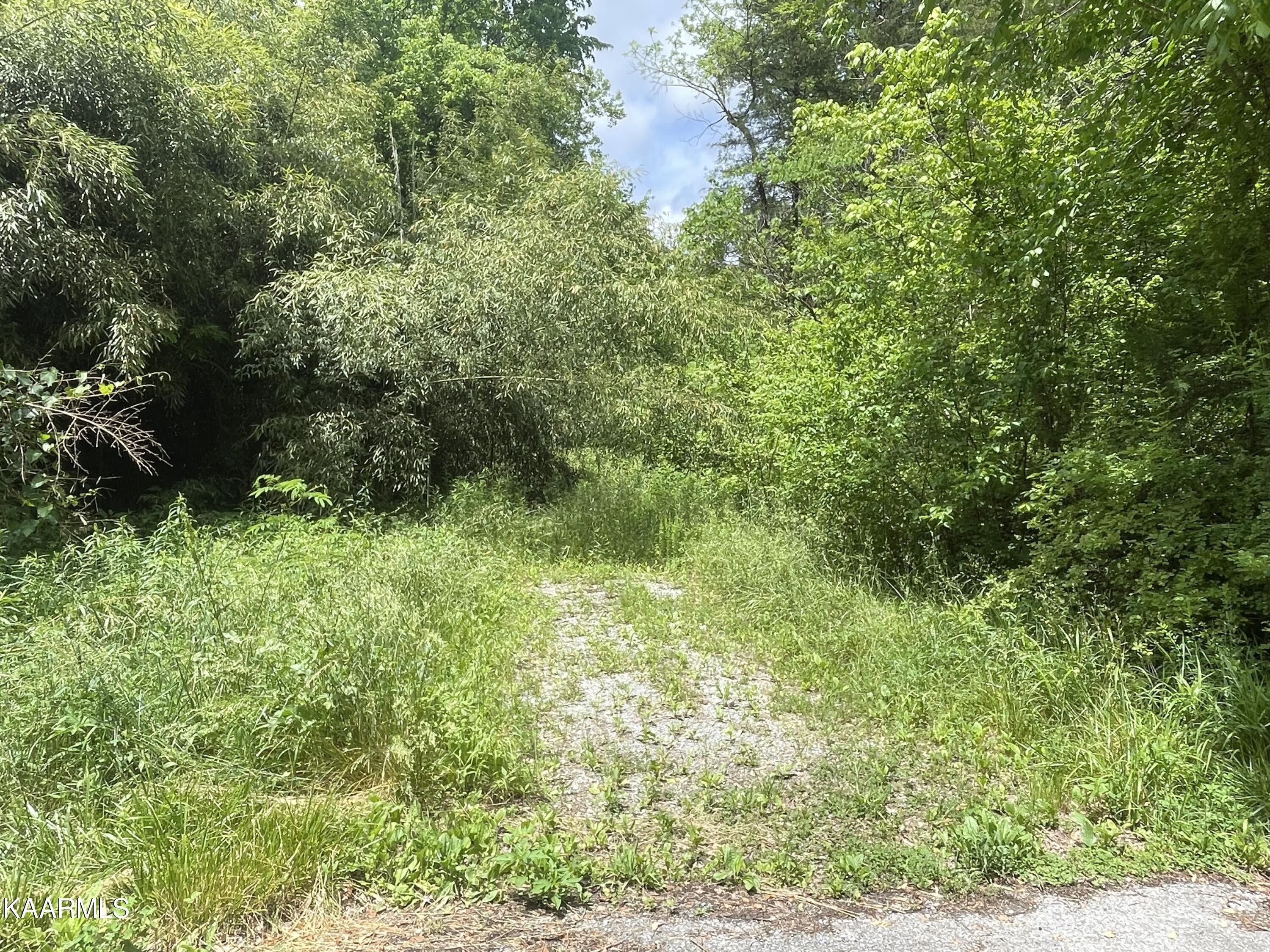 35 acres in Claiborne County, Tennessee