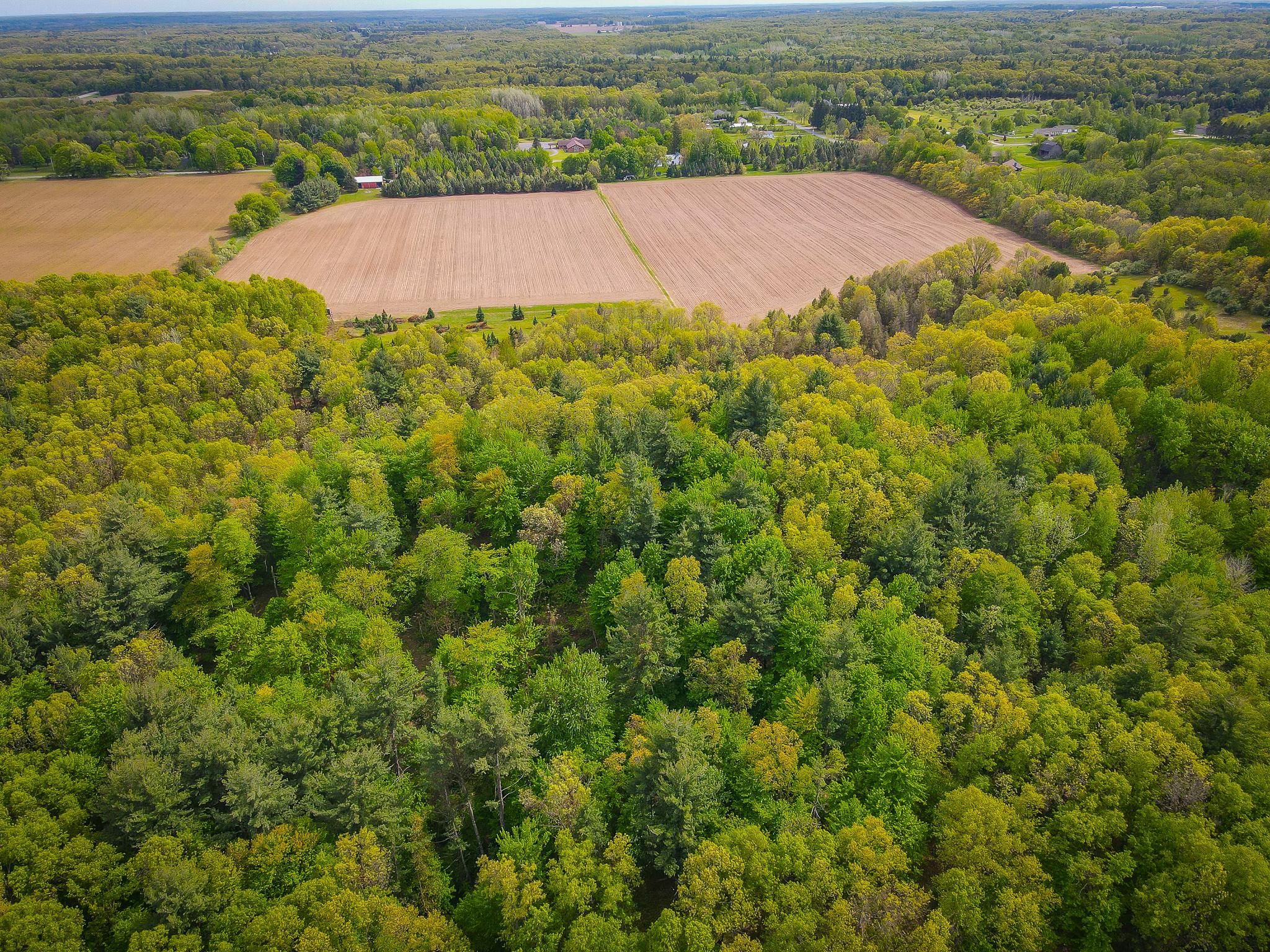 76 acres in Montcalm County, Michigan