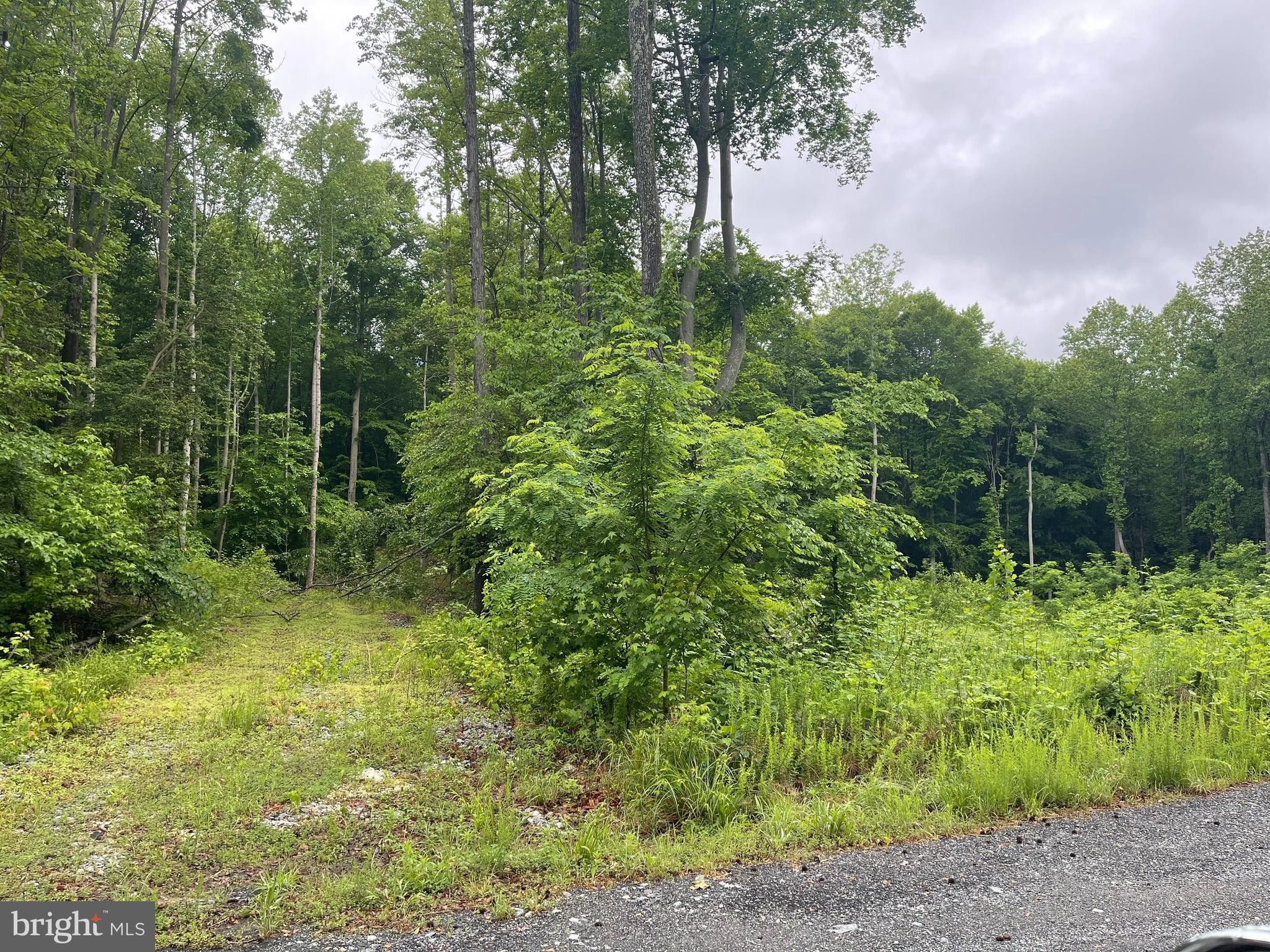 10.27 acres in King County, Virginia