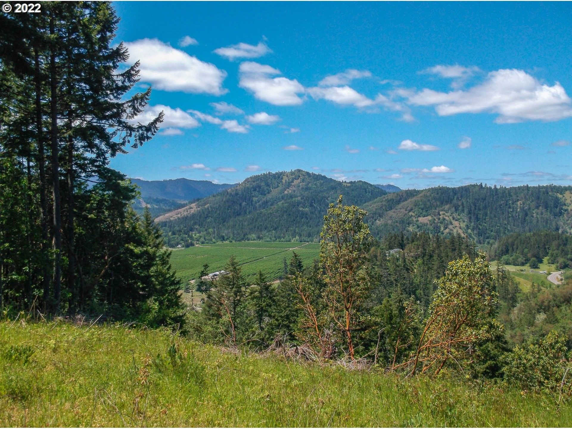9.7 acres in Douglas County, Oregon