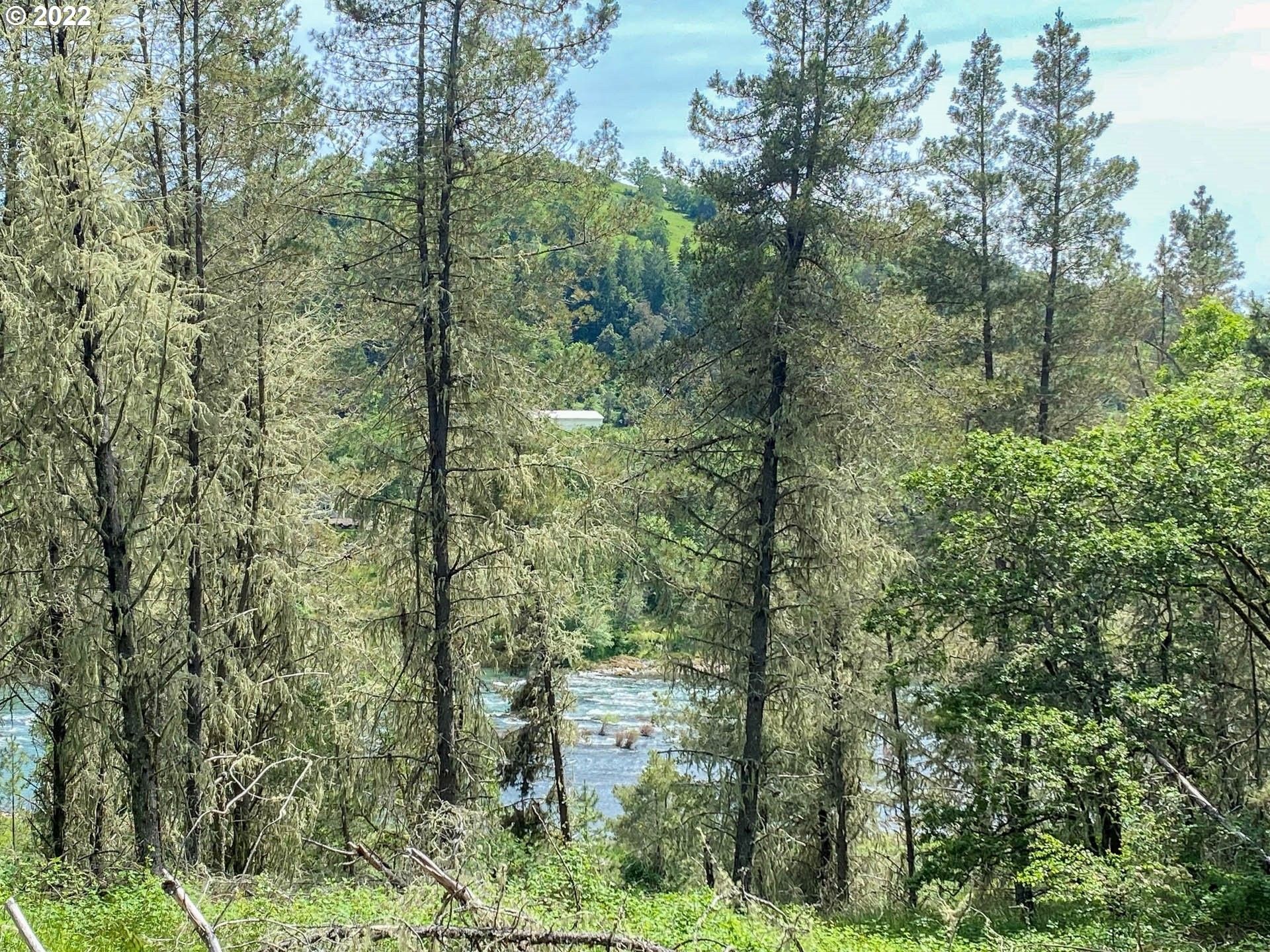 5 acres in Douglas County, Oregon