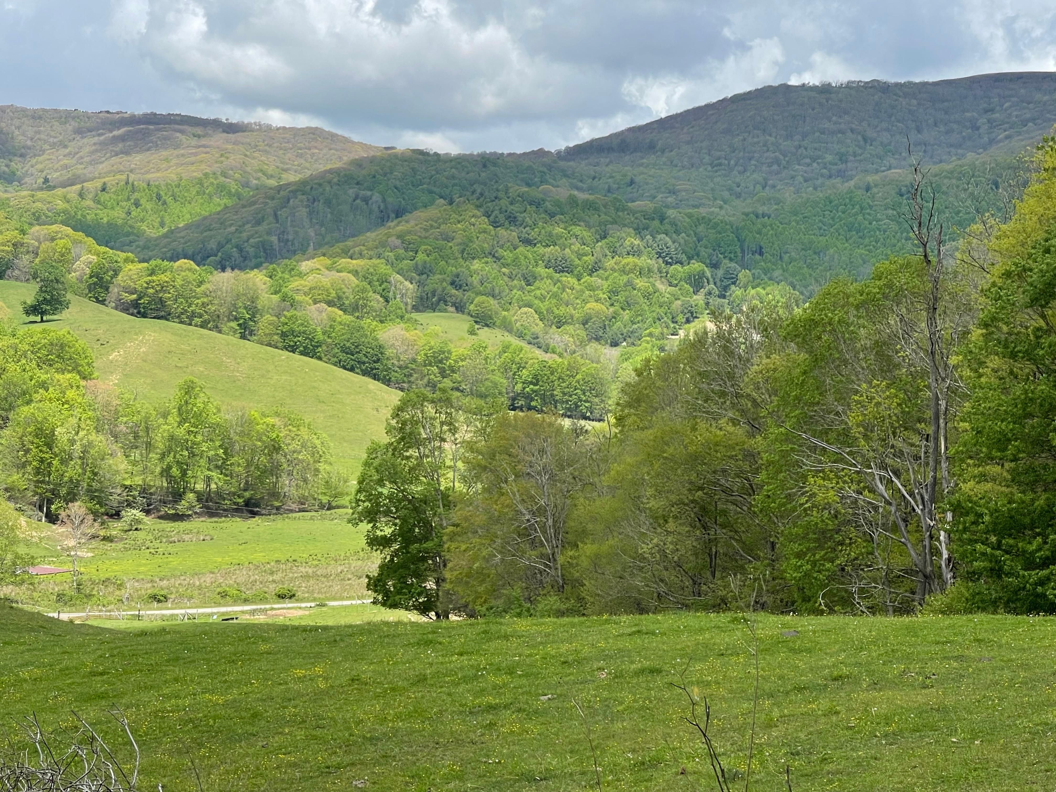 Ashe County Gis - m7v8q13